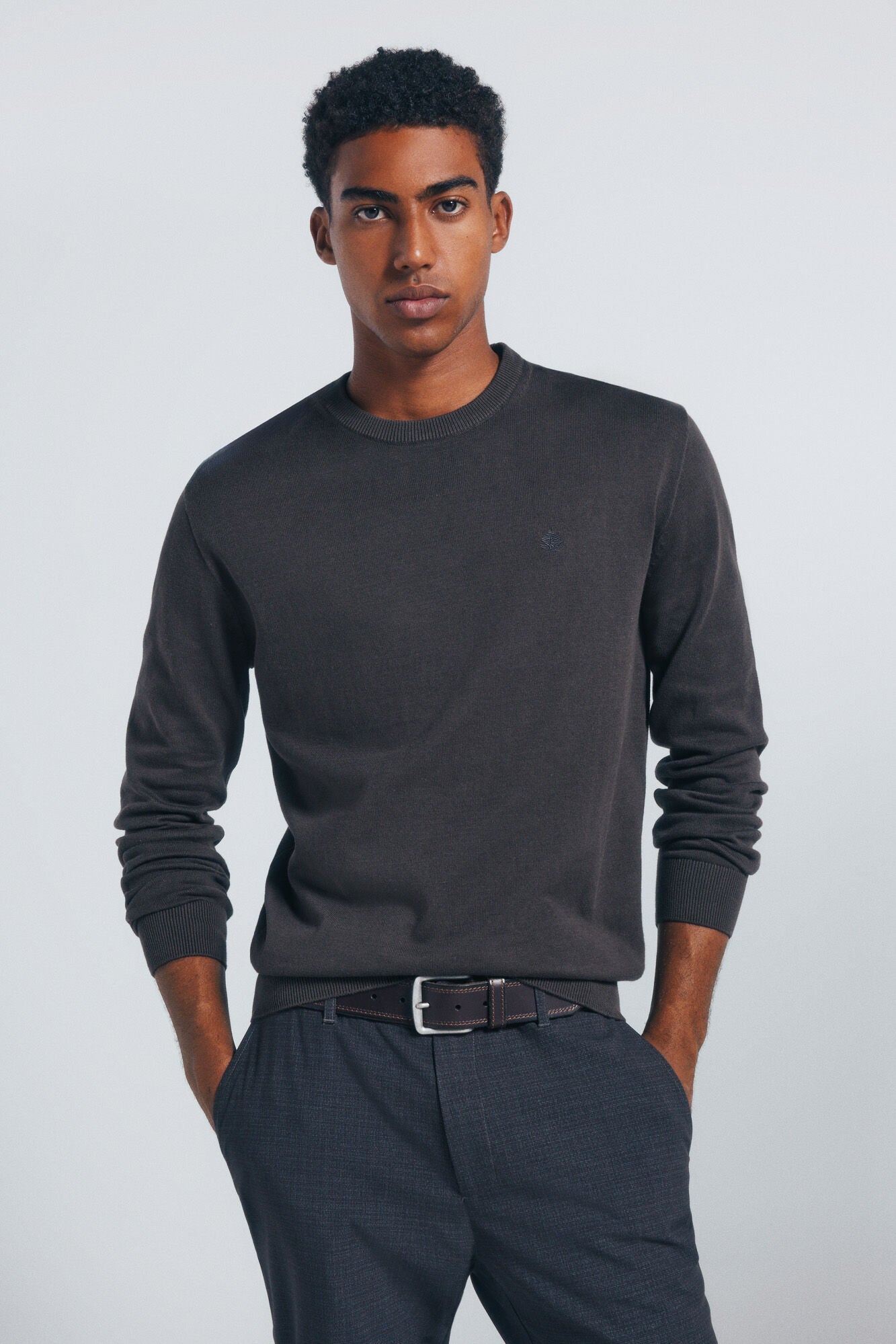 Springfield_Brown_Print_Basic Jumper_0062732_39_01