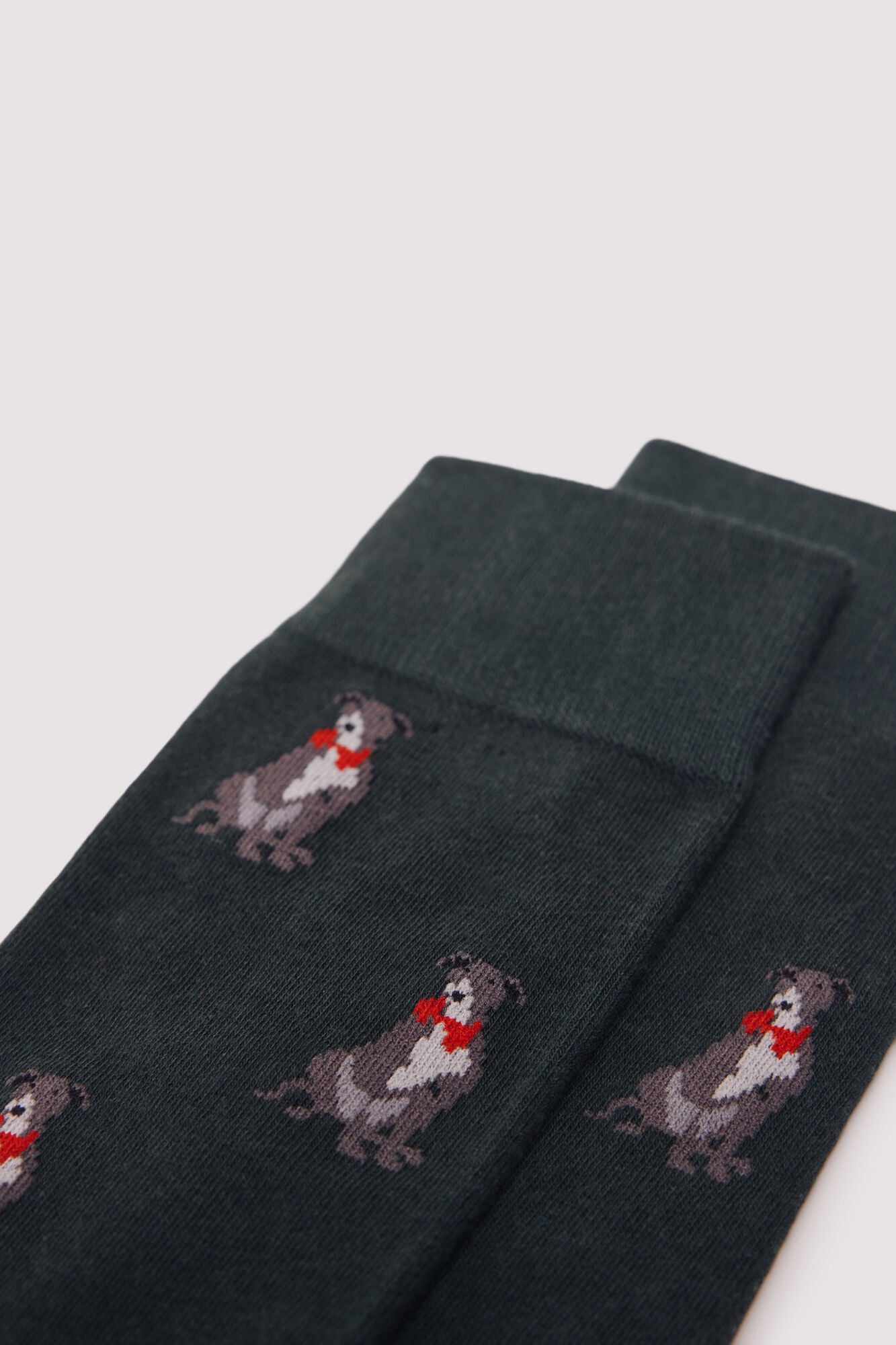 Springfield_Green_Greyhound Cotton Sock_0652094_21_02