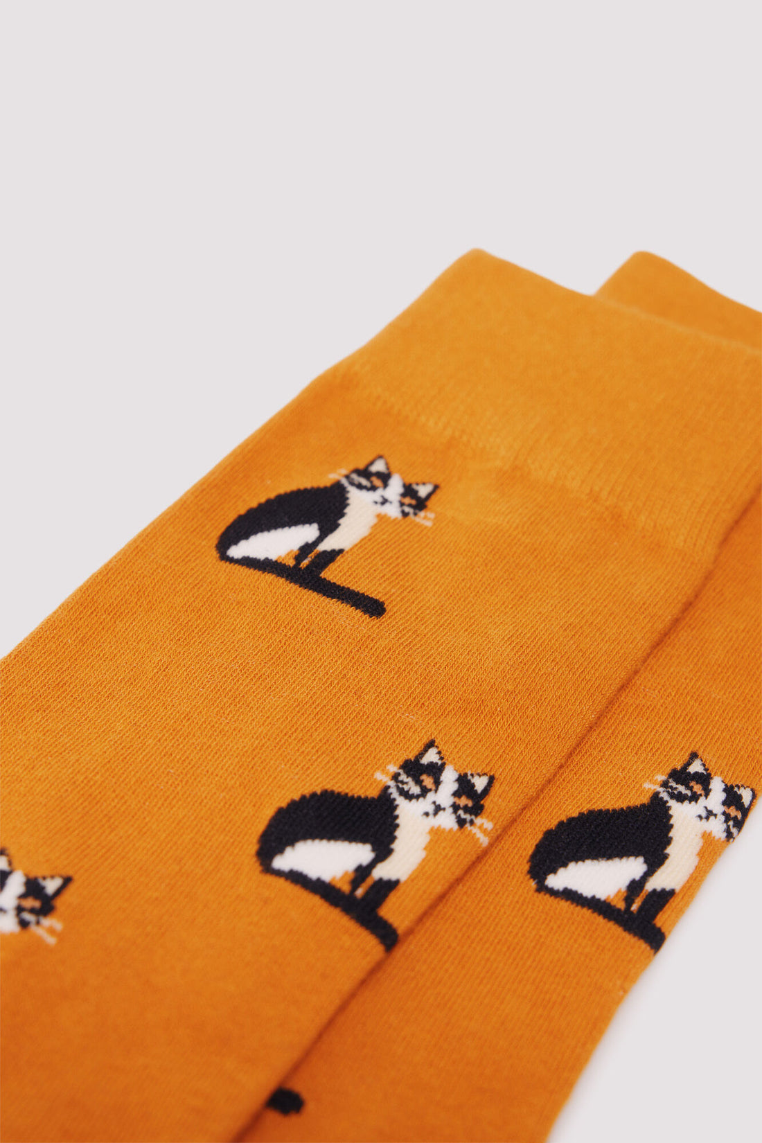 Springfield_Orange_Cat Cotton Sock_0652115_65_02