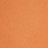 Orange Brazilian Brief_0877612_66_03