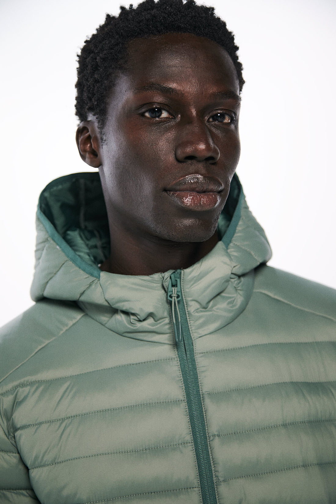 Springfield_Quilted Hooded Jacket_0959087_24_02