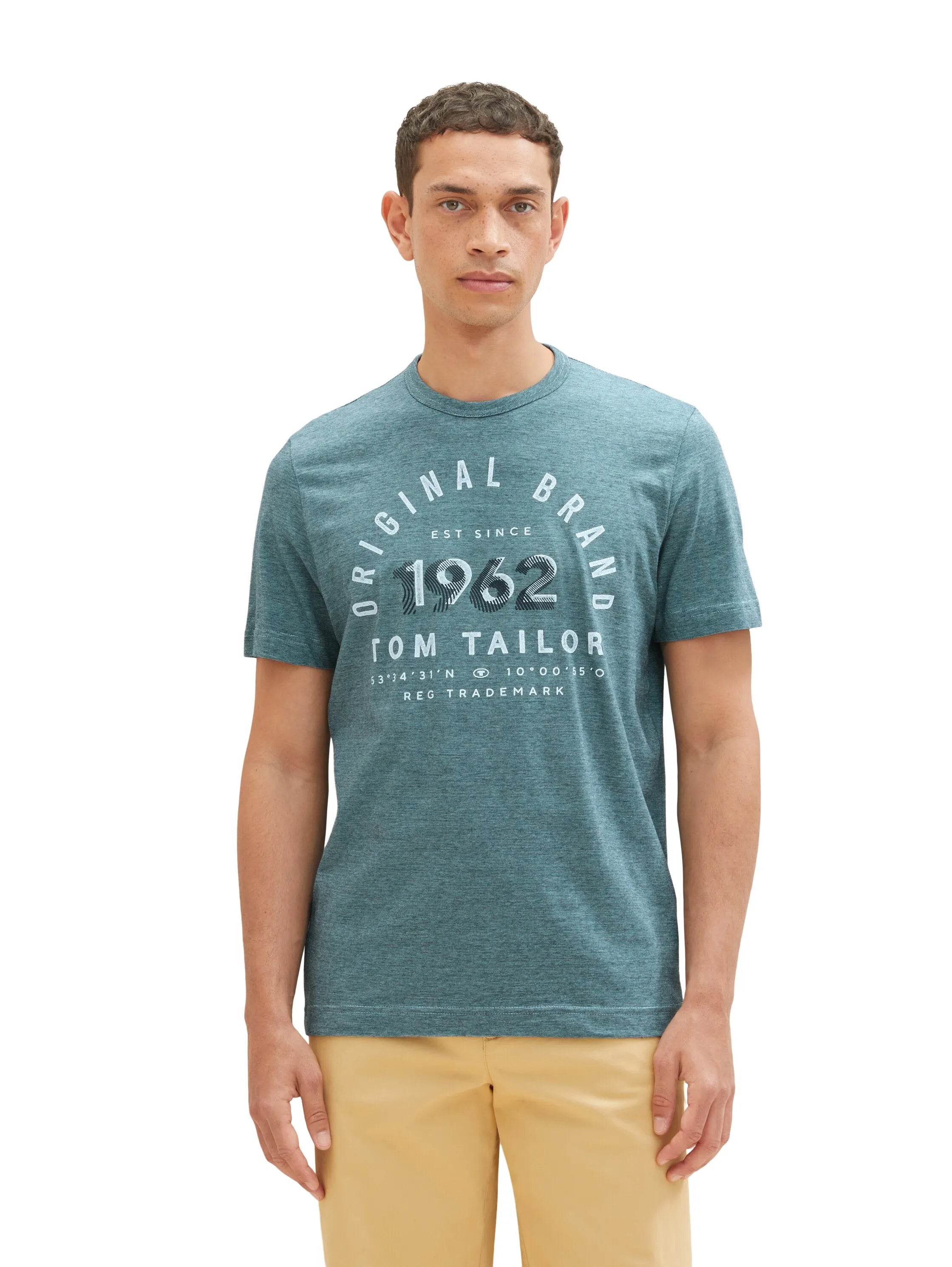 Tom Tailor Navy Blue Stone Fine Stripe Men T-Shirt with a Print SKU: 1035549_32011 Image 04