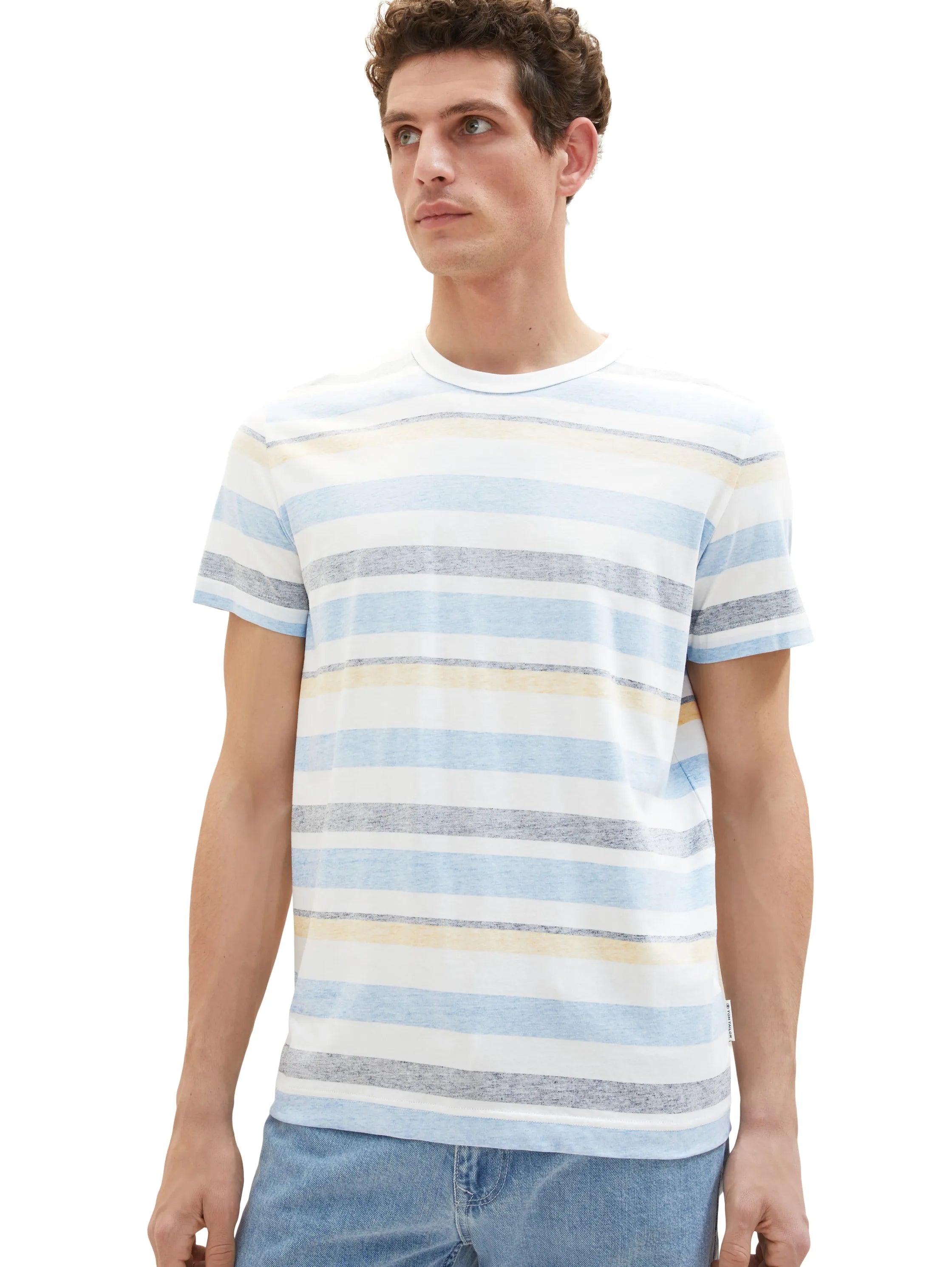 Tom Tailor Blue Multicolor Big Stripe Men Striped T-Shirt SKU: 1036331_31778 Image 04