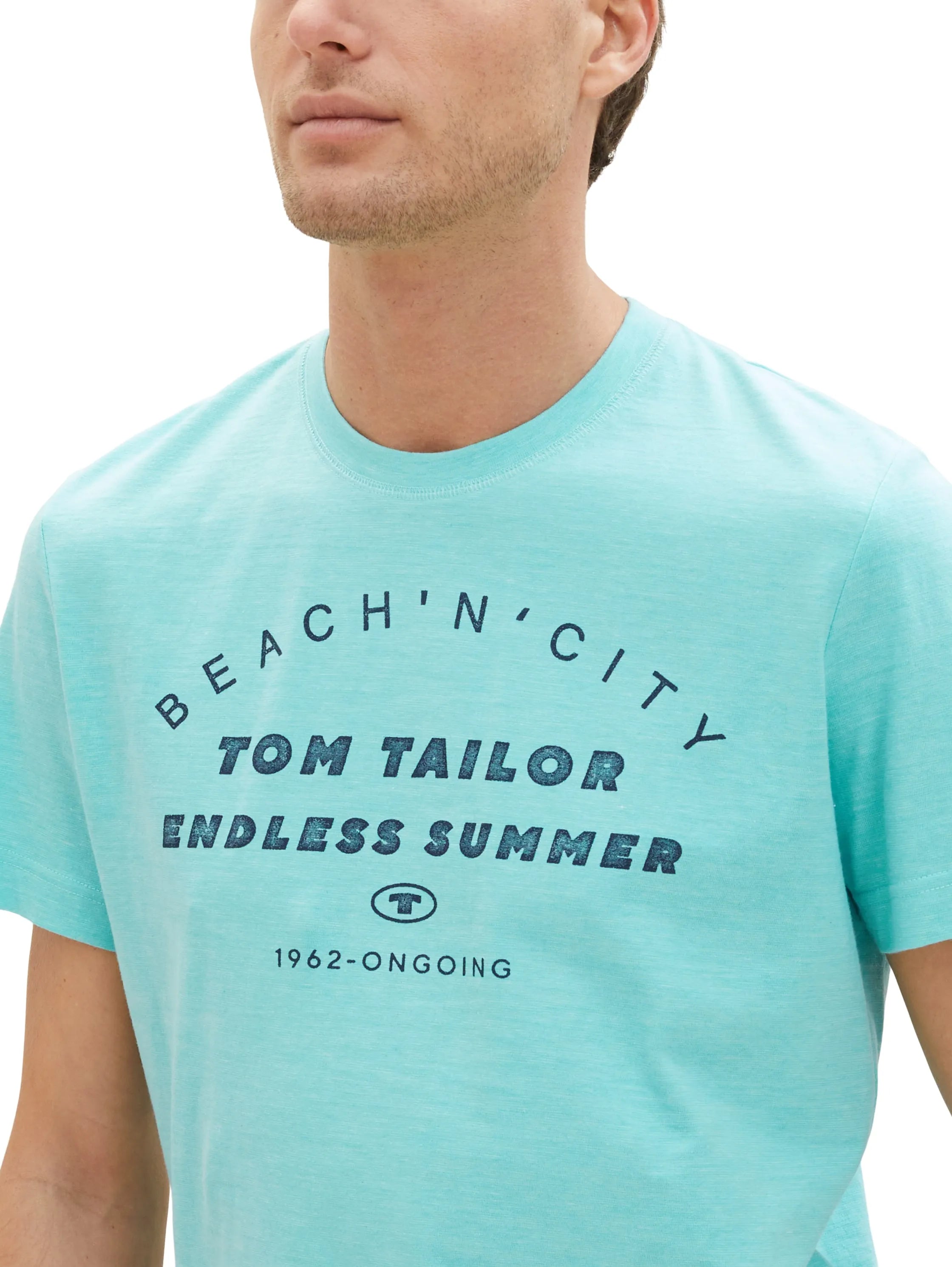 Tom Tailor Aqua Streaky Melange Men T-Shirt with a Print SKU: 1036418_32036 Image 02