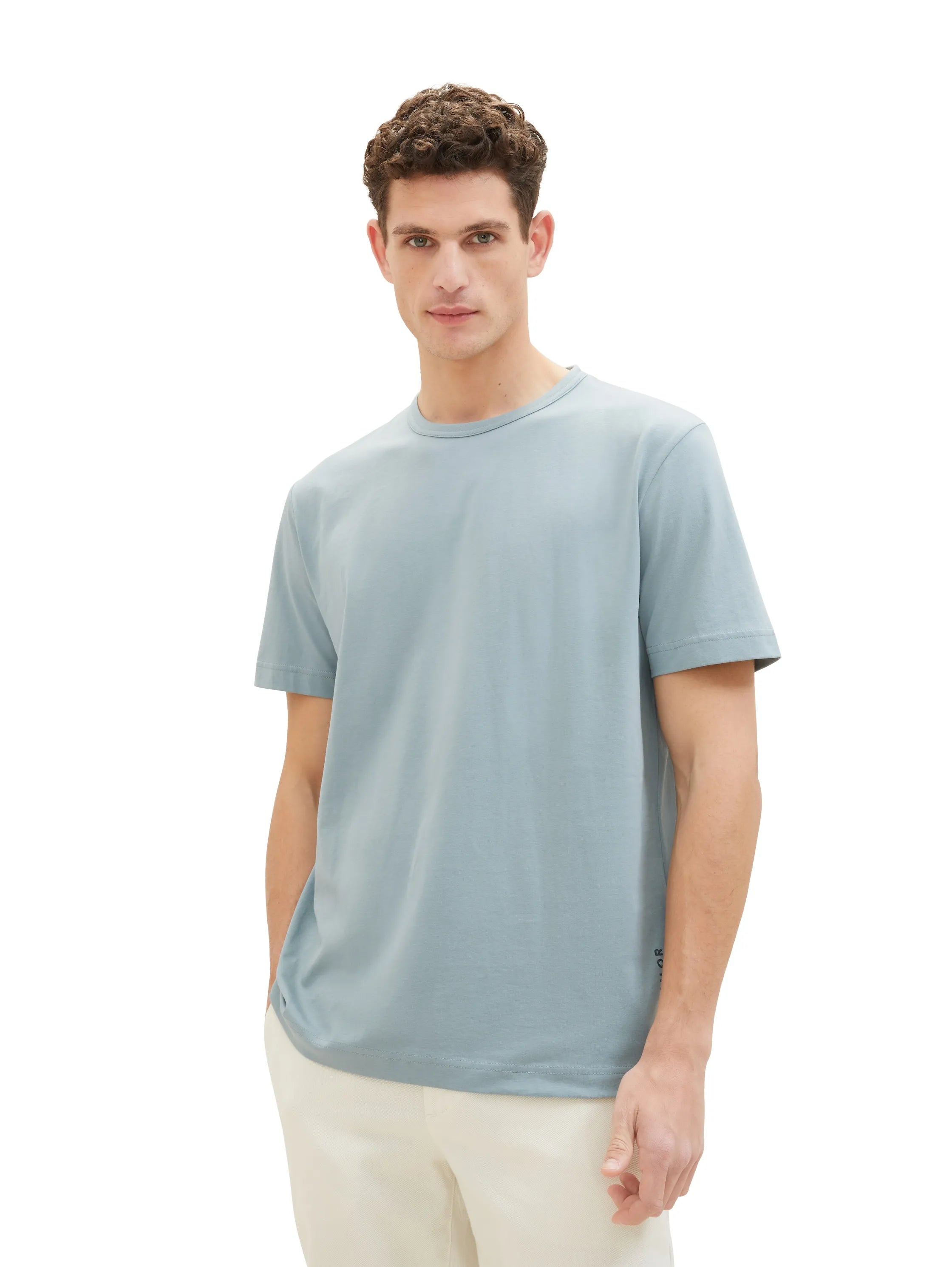 Tom Tailor Grey Mint Men Basic T-Shirt with a Logo Print SKU: 1040826_27475 Image 01