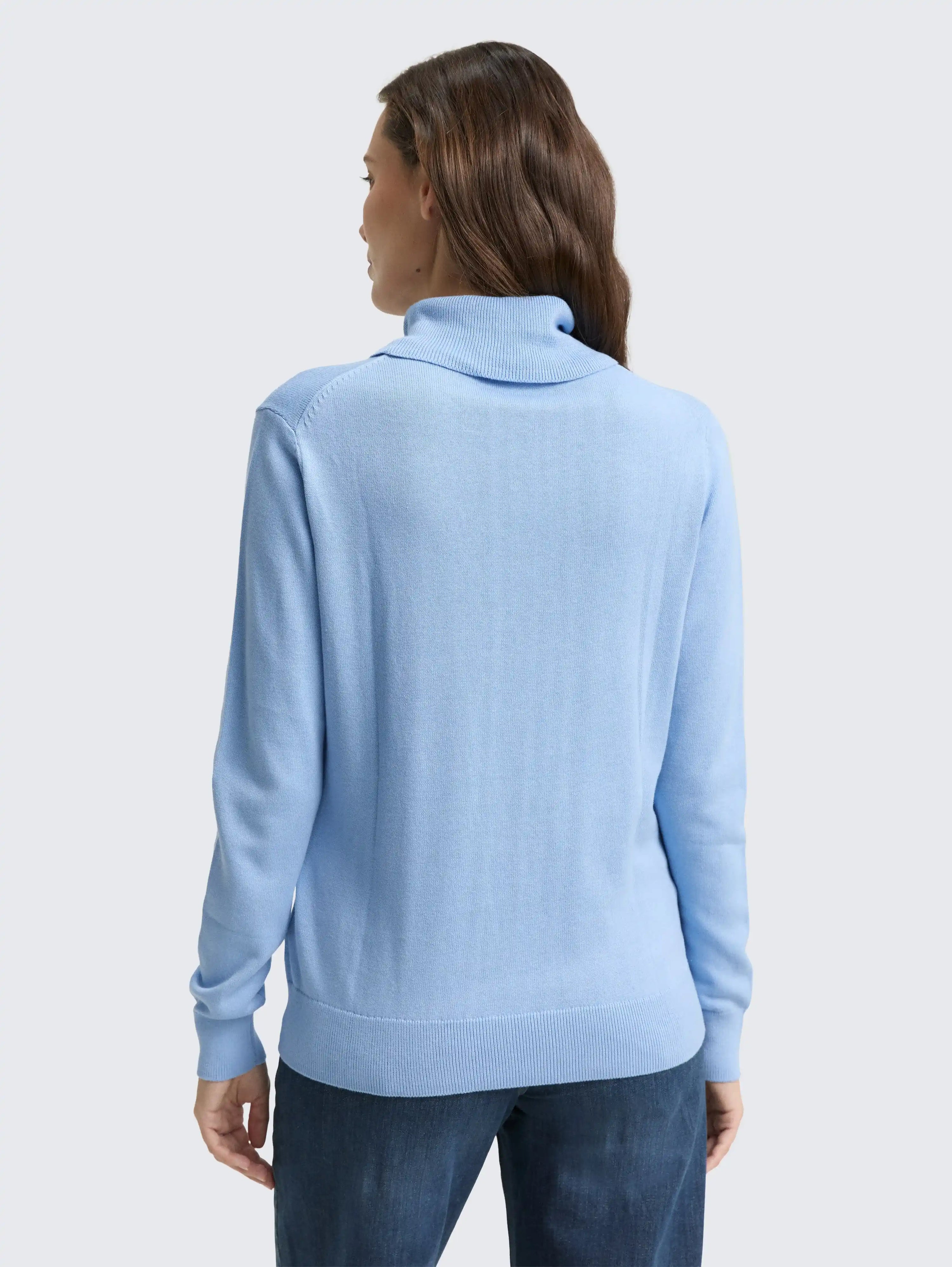 Tom Tailor_0_Basic Turtleneck Jumper_1047675_34587_03