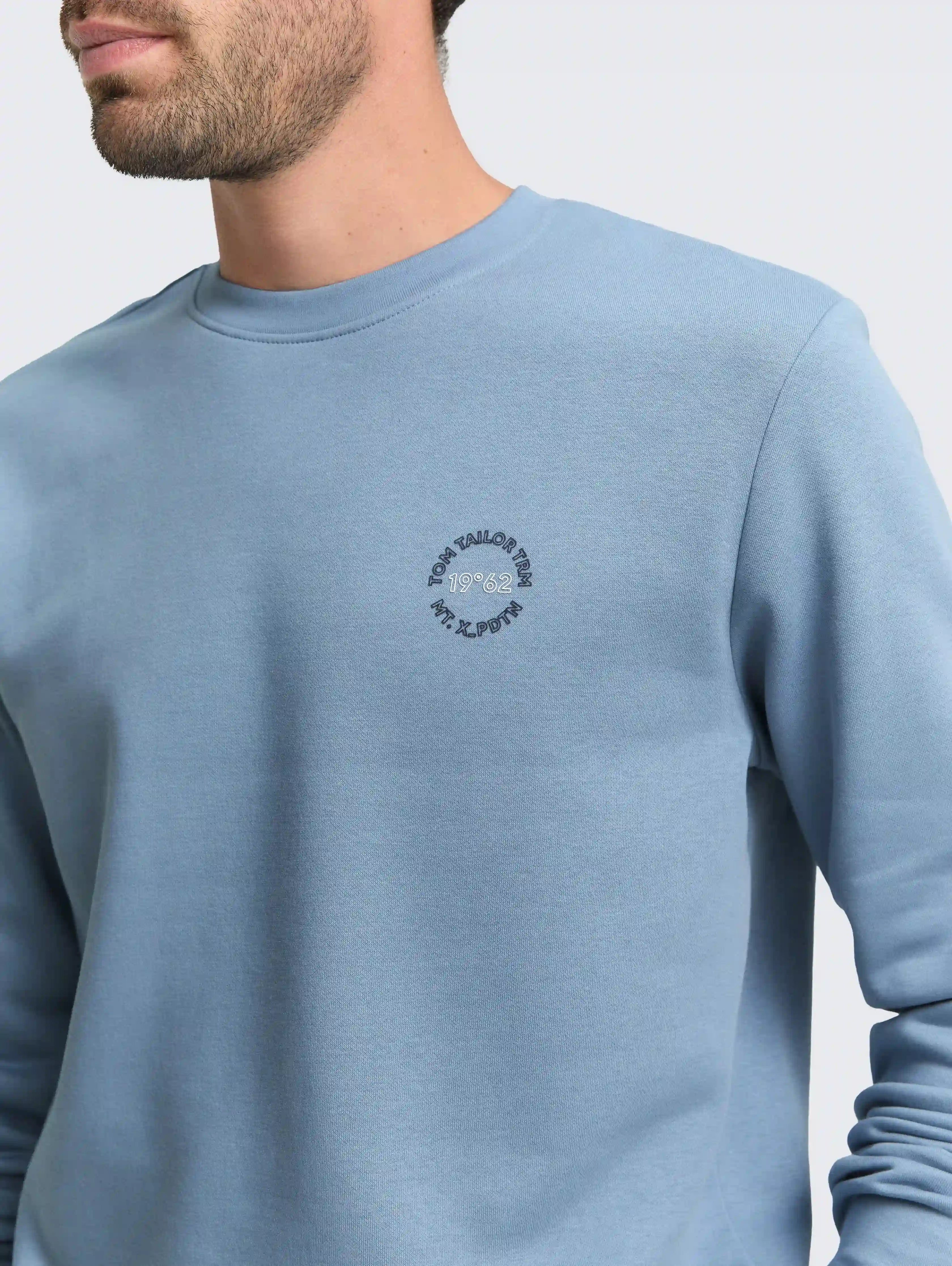 Tom Tailor_0_Sweatshirt with Logo Print_1048591_28800_05