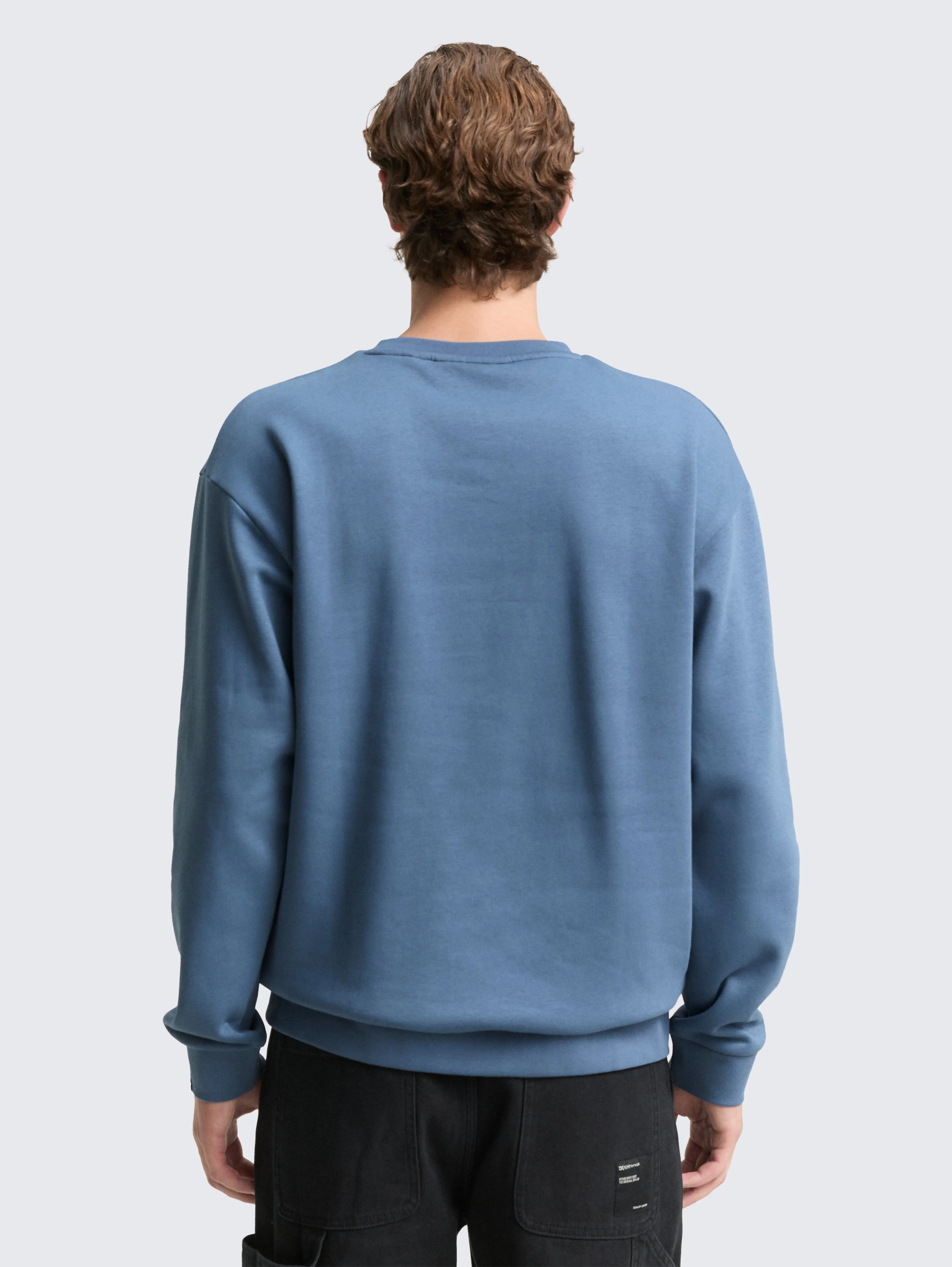Tom Tailor_0_Sweatshirt with Logo Badge_1049014_28969_03