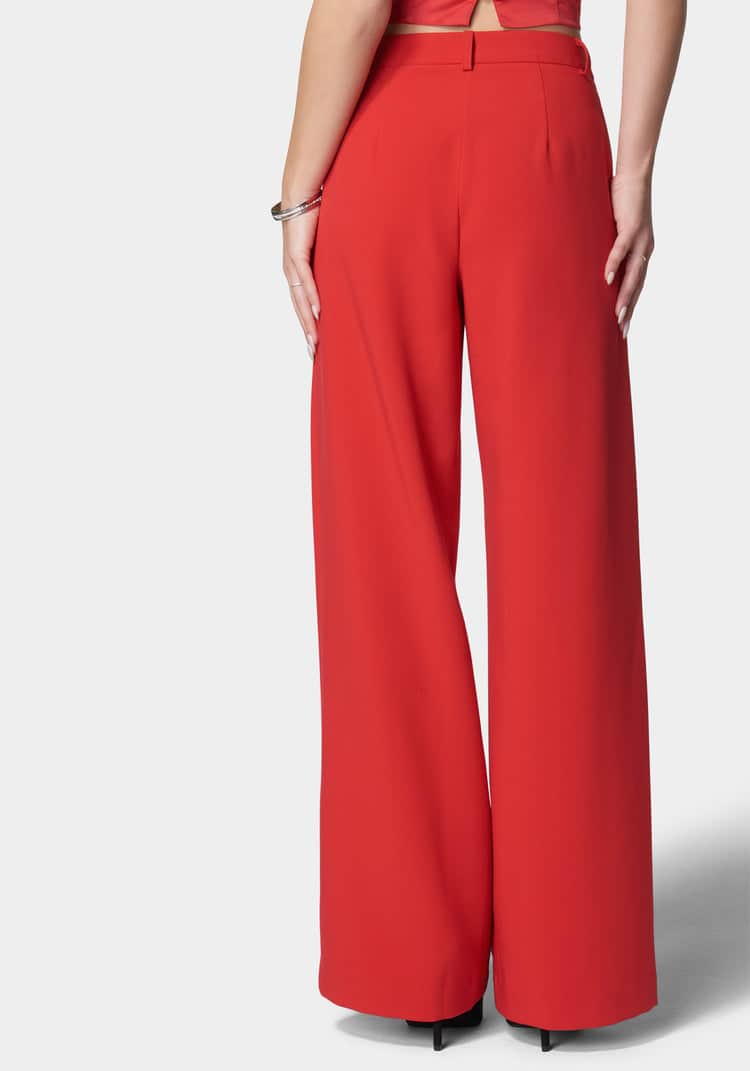 Natual Waist Wide Leg Pant_107897_SALSA_03