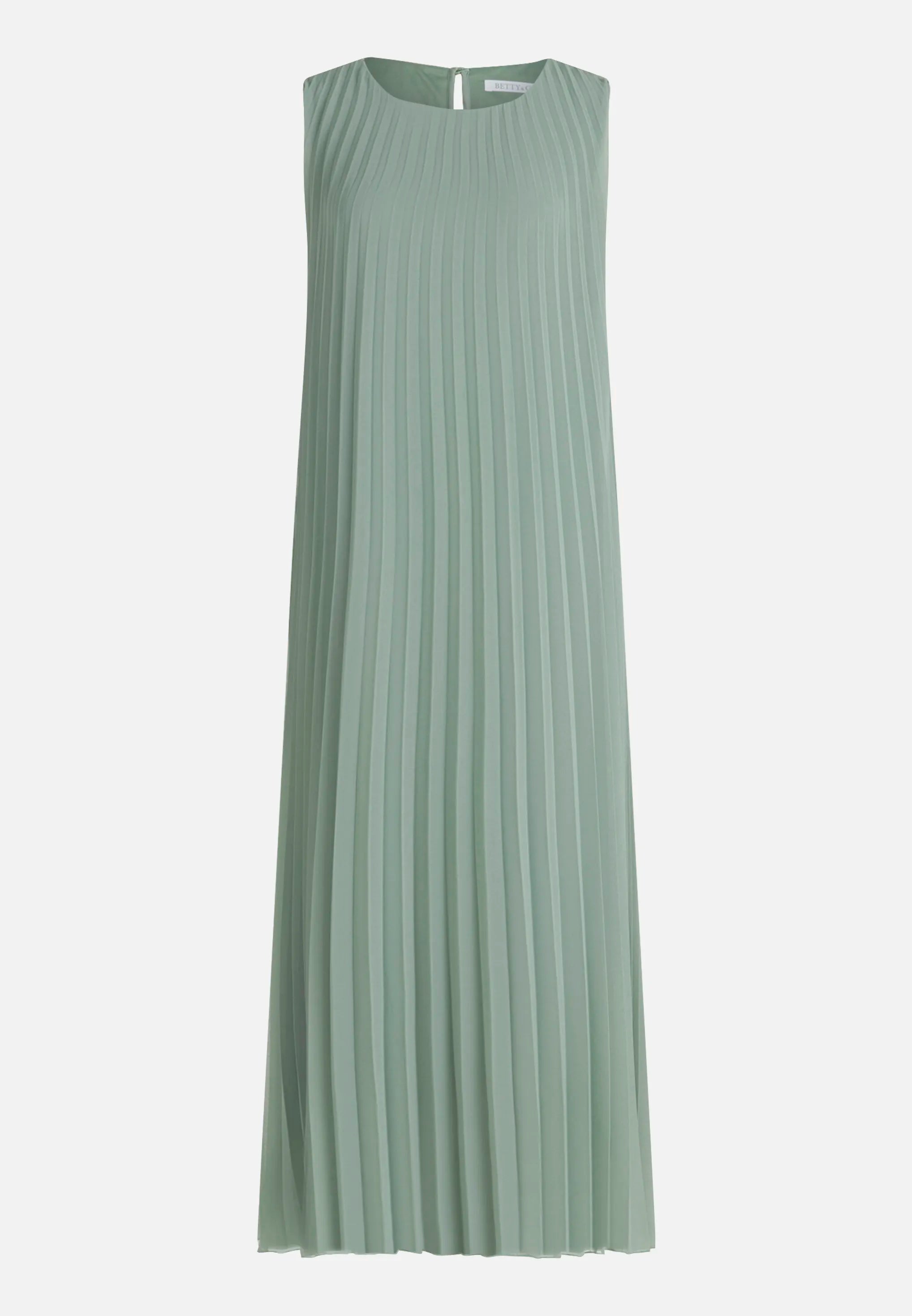 Betty Barclay Lily Pad Women Maxi Dress with Pleats SKU: 1116-3406_5554 Image 05