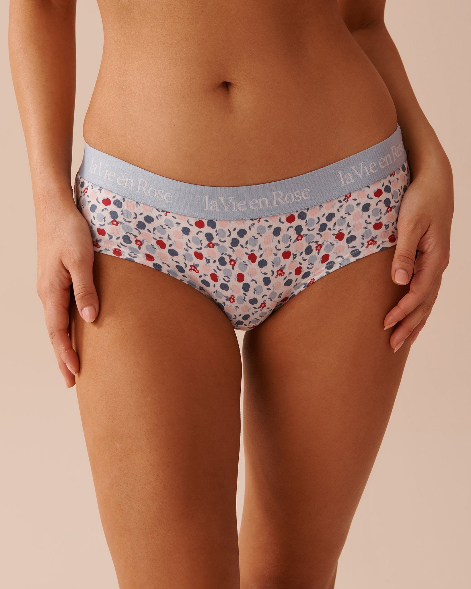 Cotton and Elastic Band Hiphugger Briefs_20100478_P10417_01