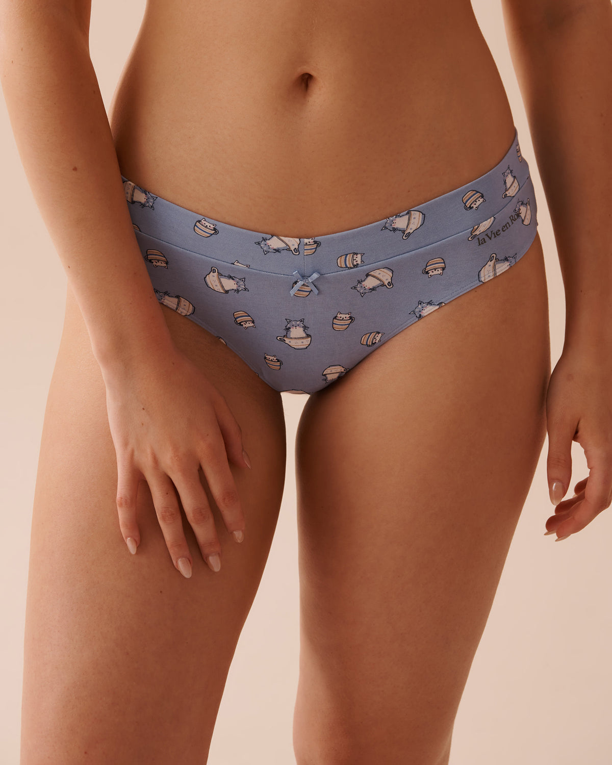 Be Comfy Cotton Bikini Panty_20100502_P40357_01