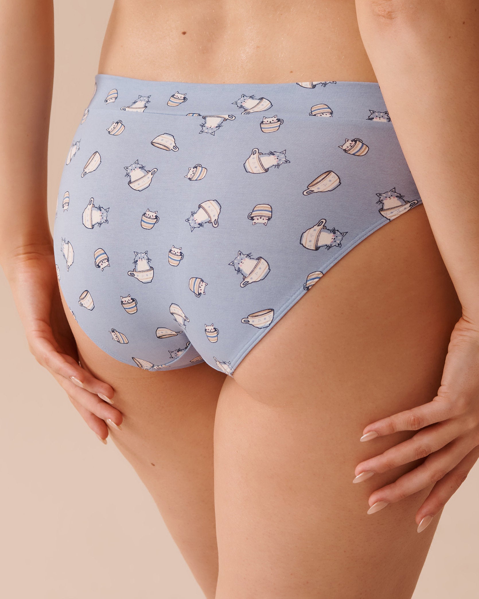 Be Comfy Cotton Bikini Panty_20100502_P40357_02