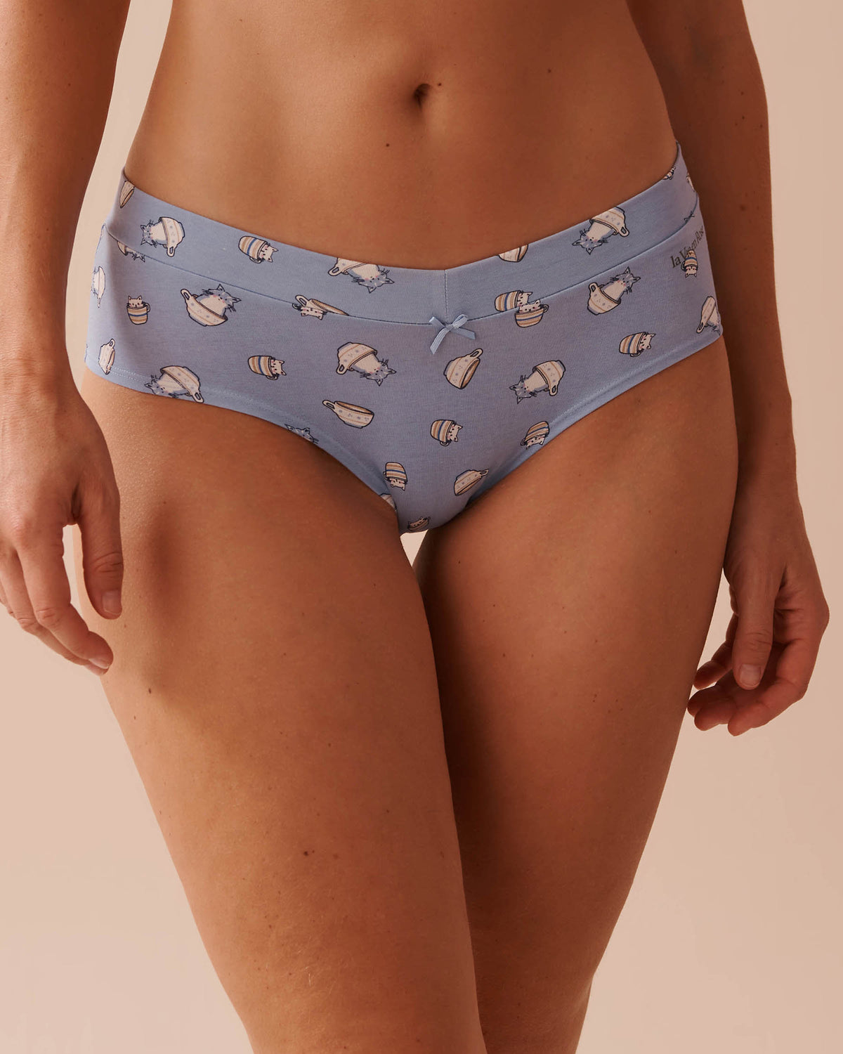 Be Comfy Cotton Hiphugger Panty_20100503_P40357_01