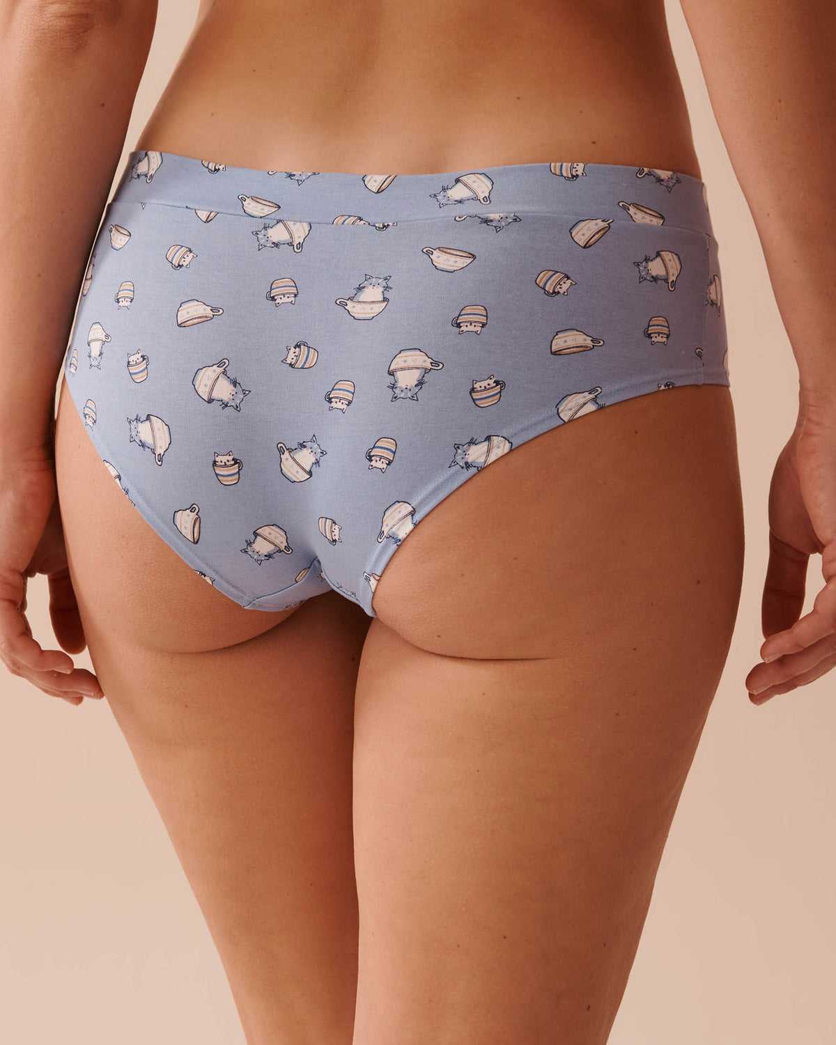Be Comfy Cotton Hiphugger Panty_20100503_P40357_02