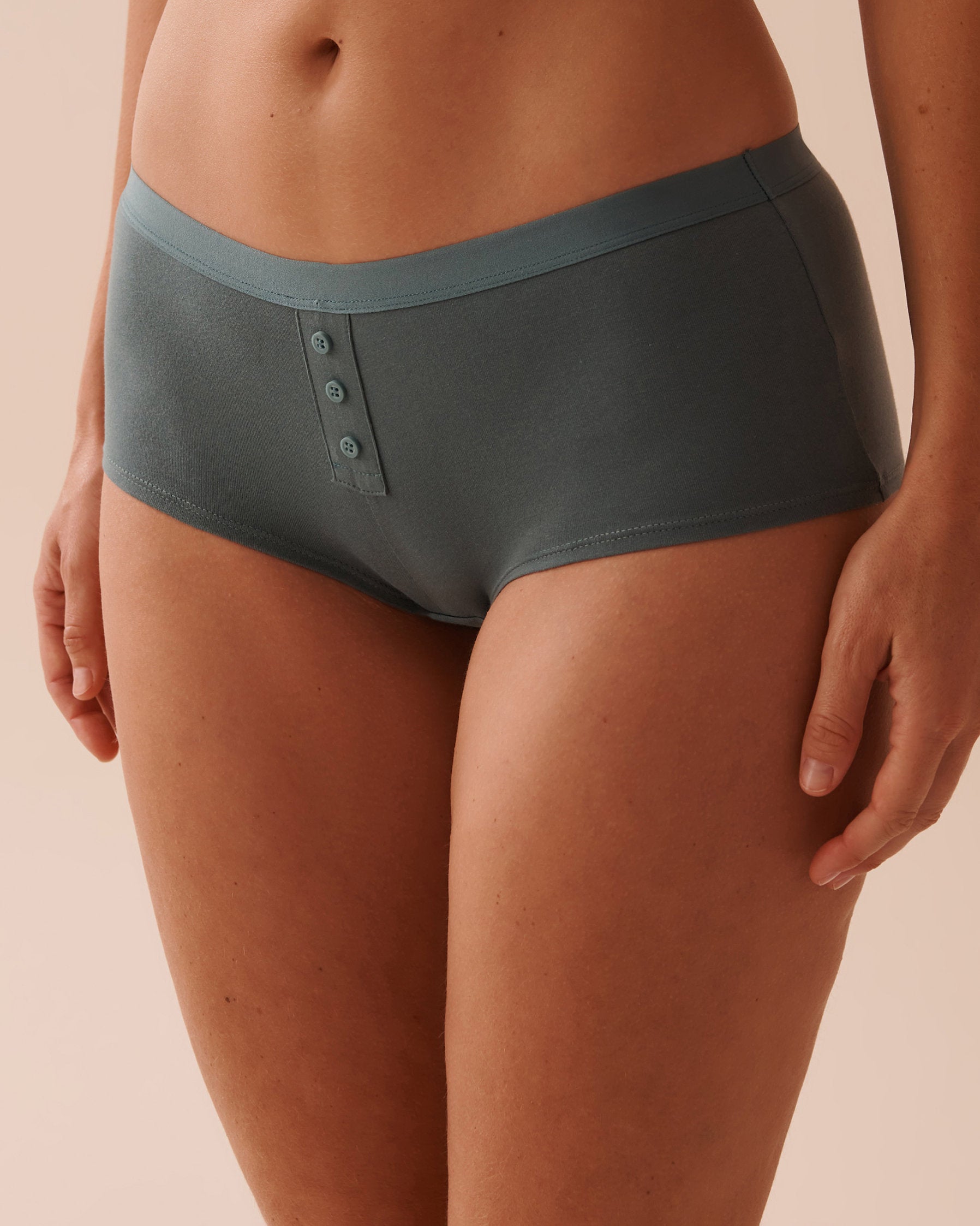 Cotton Boyleg Panty_20100521_40045_01