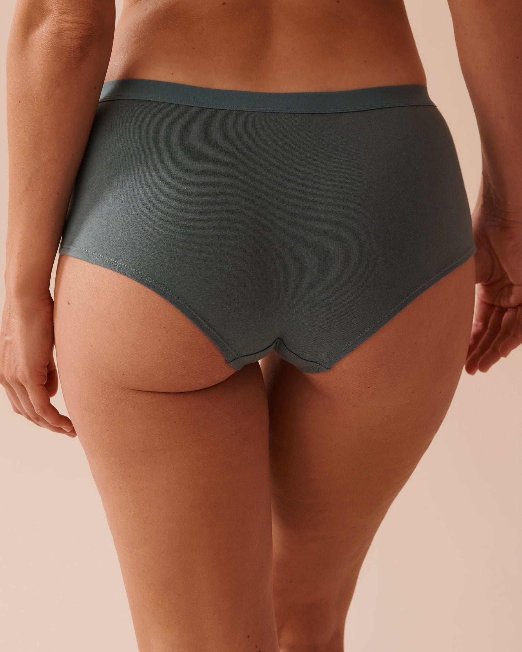 Cotton Boyleg Panty_20100521_40045_02