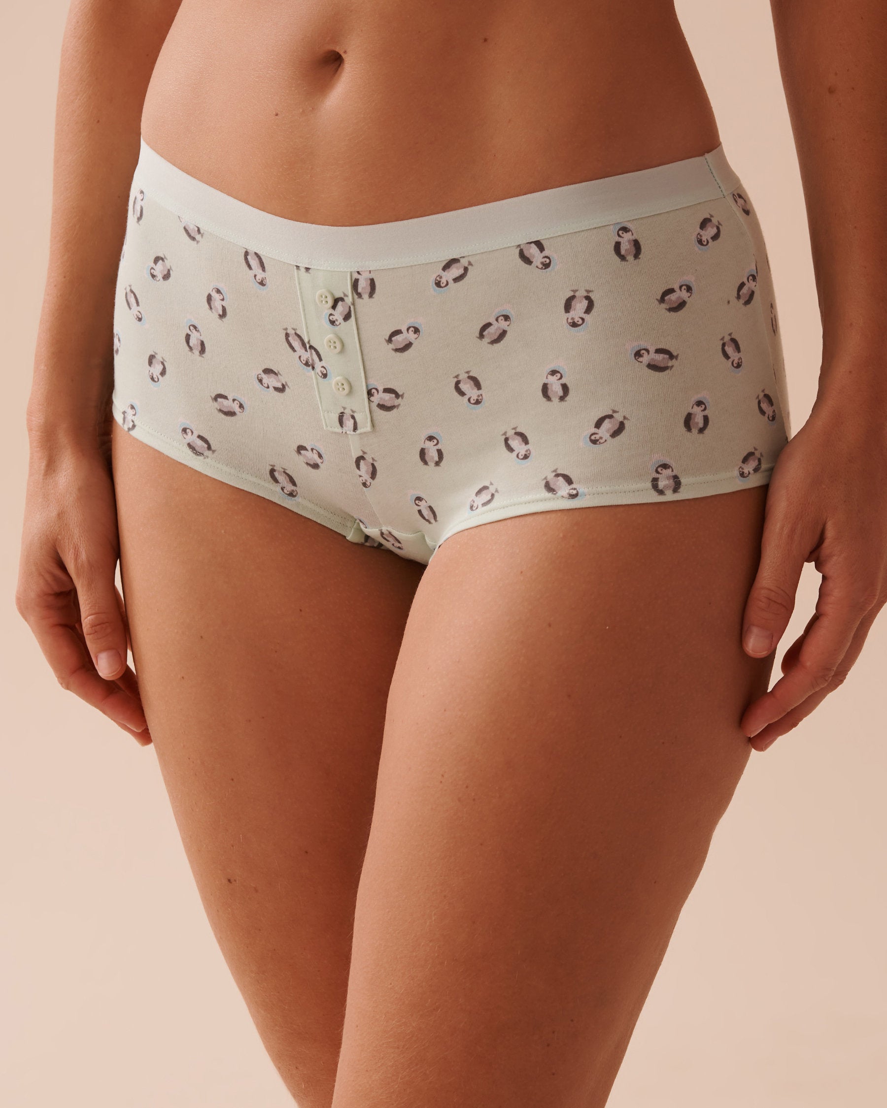 Cotton Boyleg Panty_20100530_P40401_01