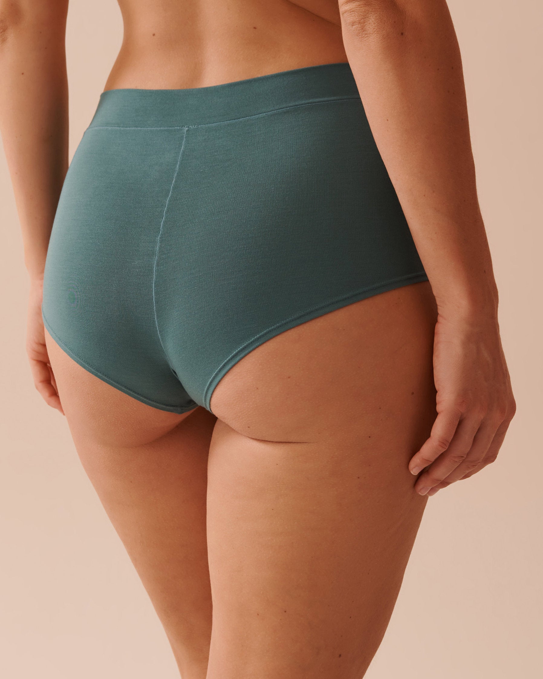 Modal High Waist Hiphugger Panty_20200550_40045_02