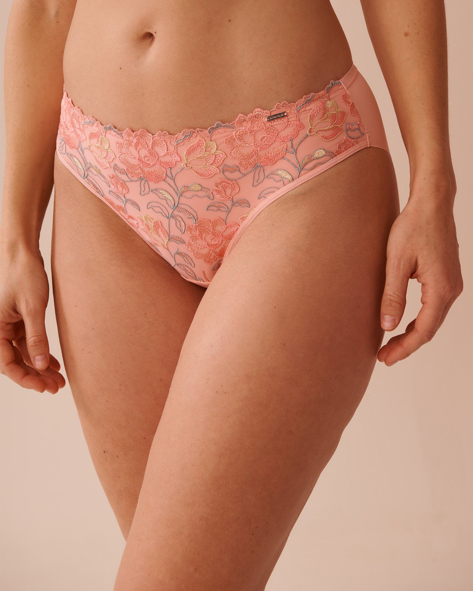 La Vie en Rose_Microfiber and Mesh Sleek Back Bikini Panty_20300381_P70064_01