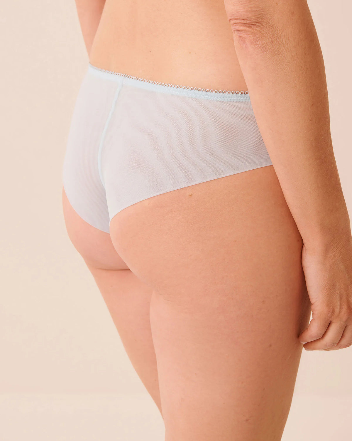 La Vie en Rose Stratosphere Blossom Women Embroidered Mesh Cheeky Panty SKU: 20300497_P40551 Image 02
