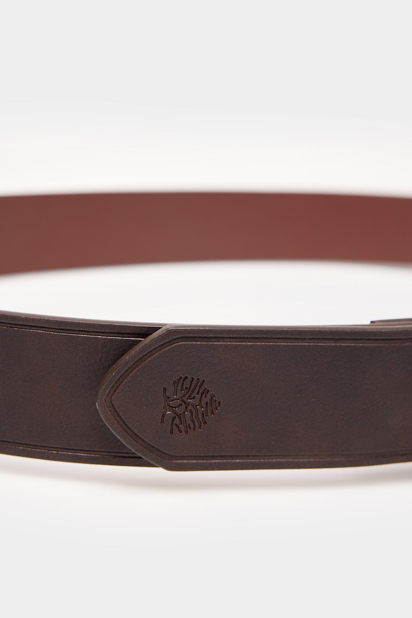 Brown Belt_2867127_30_03