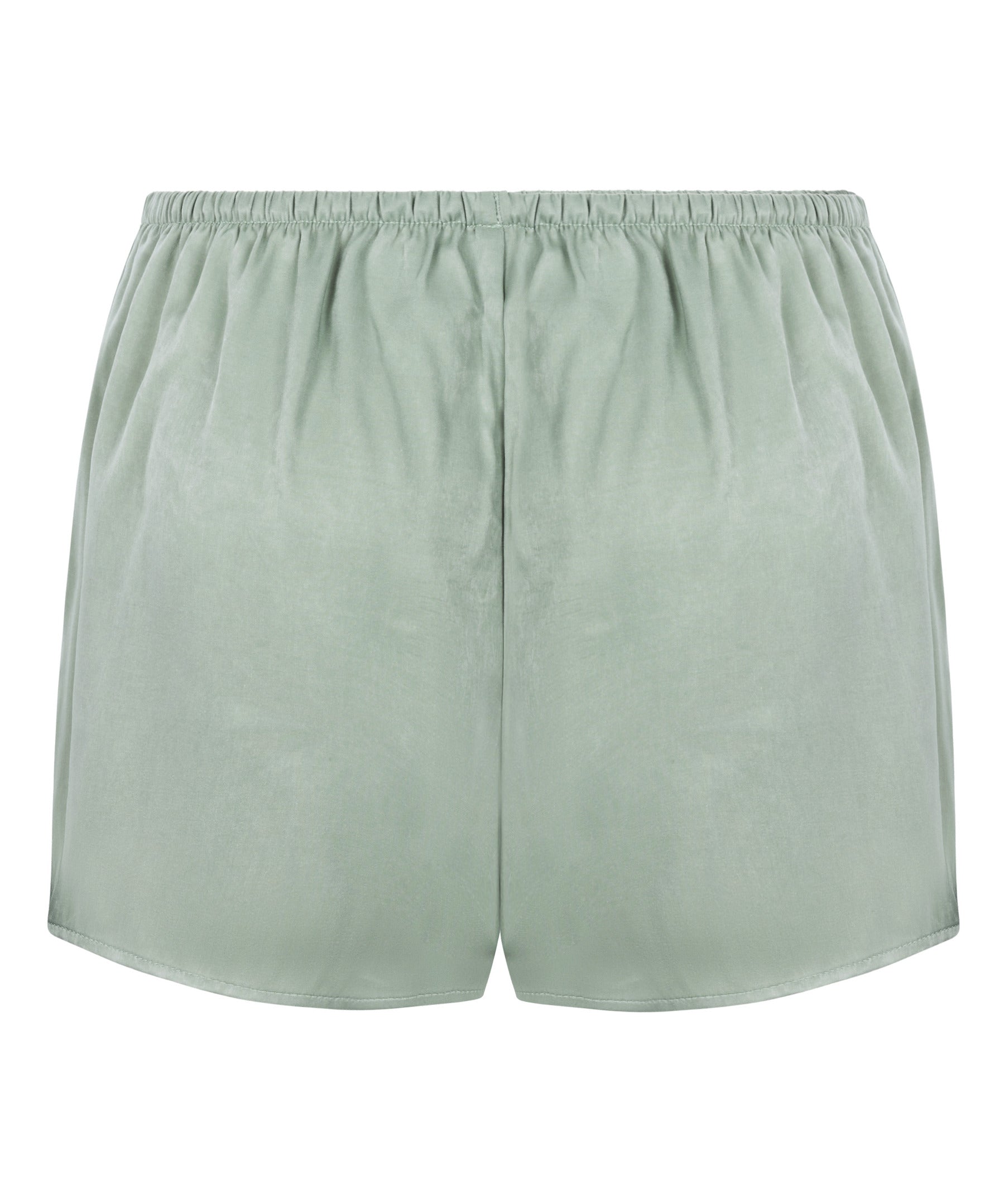 Hunkemoller_Iceberg Green_Ayla Satin Shorts_302766_Iceberg Green_06