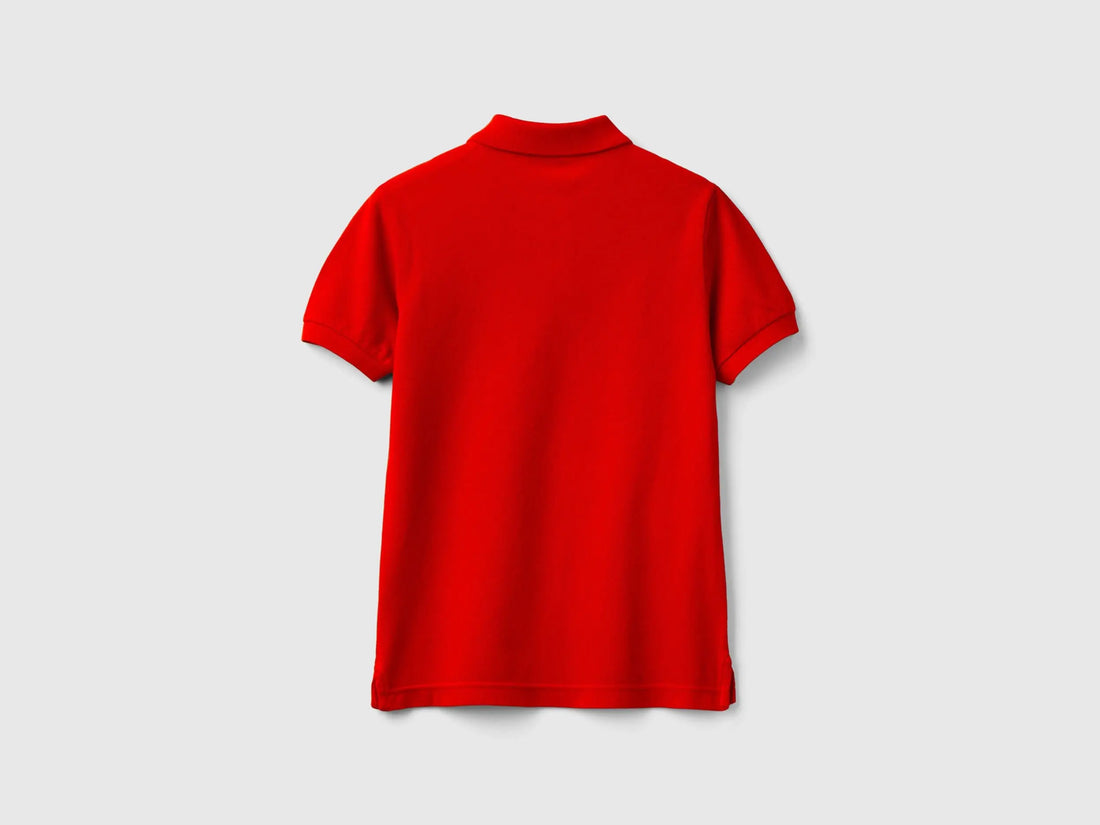 Slim Fit Polo in 100% Organic Cotton_3089C300Q_015_02