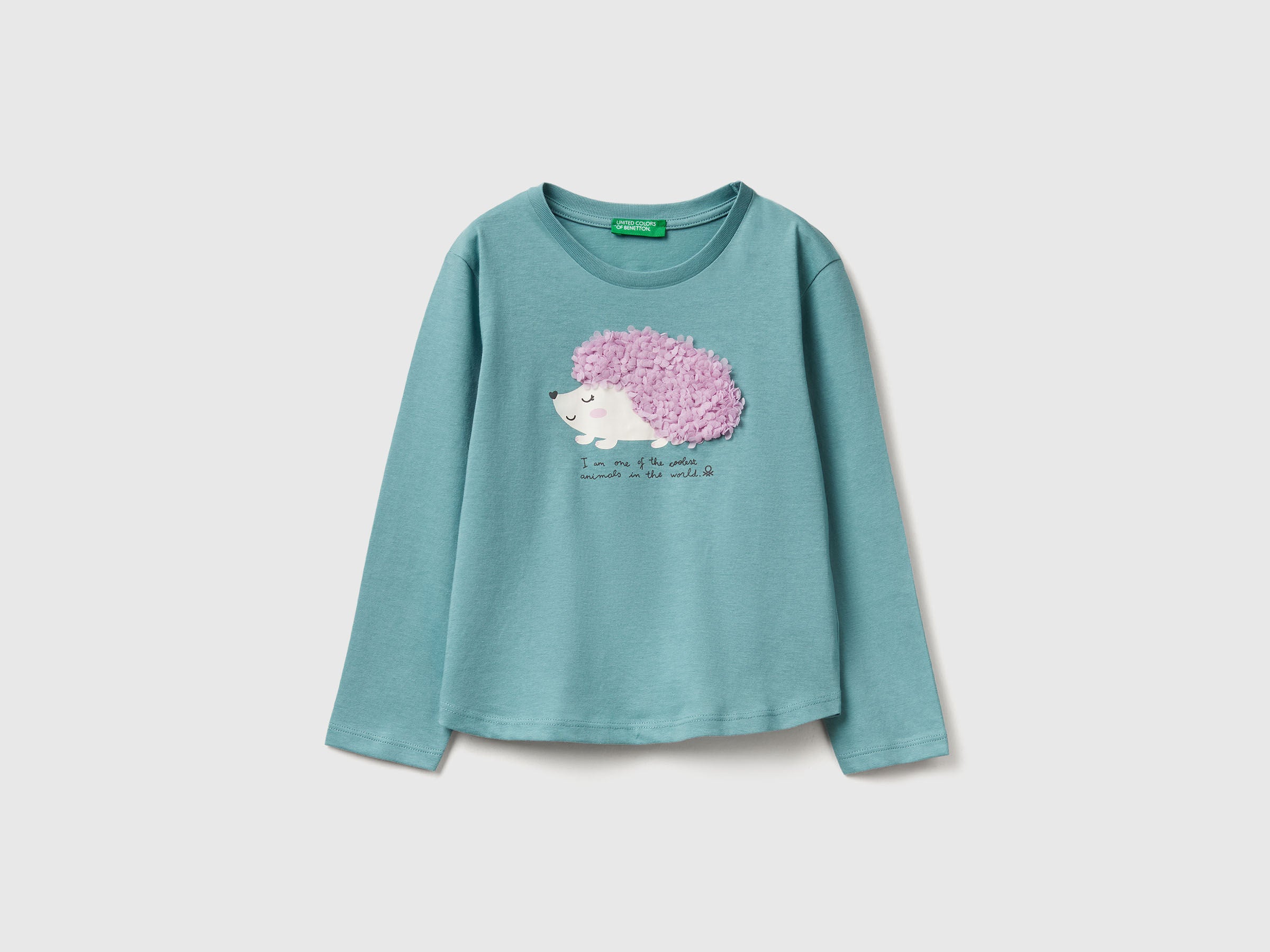 Benetton_Sky Blue_T-Shirt with Petal Effect Applique_3I1XG10K8_33K_01