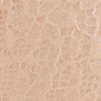 Push Up Bra In Different Cup Sizes_4027744_71_07