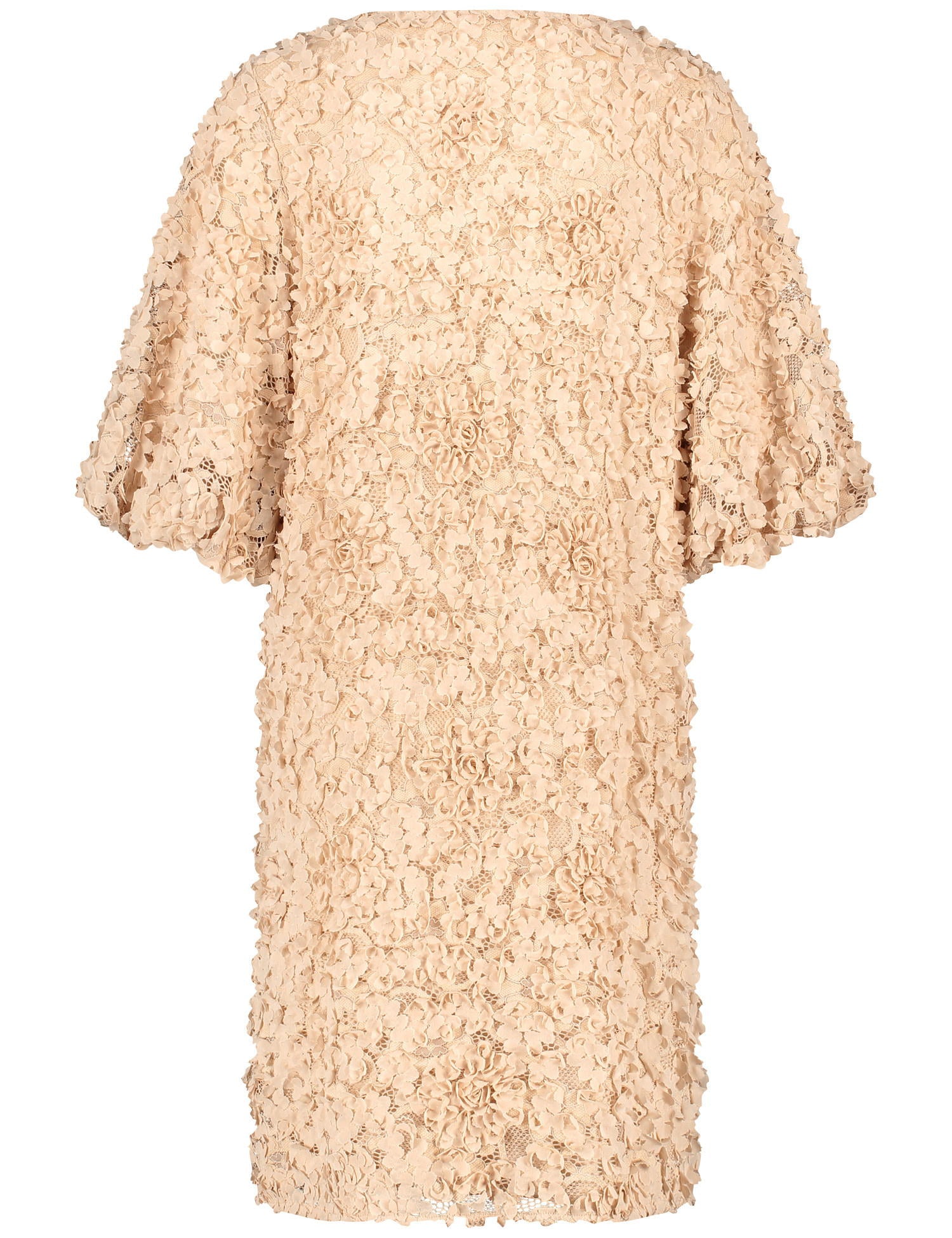Lace Dress With Impressive Floral Decoration_581305-16129_9280_03