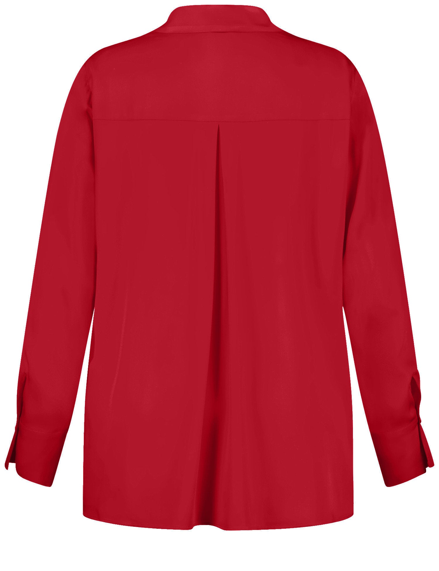 Samoon_Elegant Blouse with a V-Neckline_660601-21100_6580_03