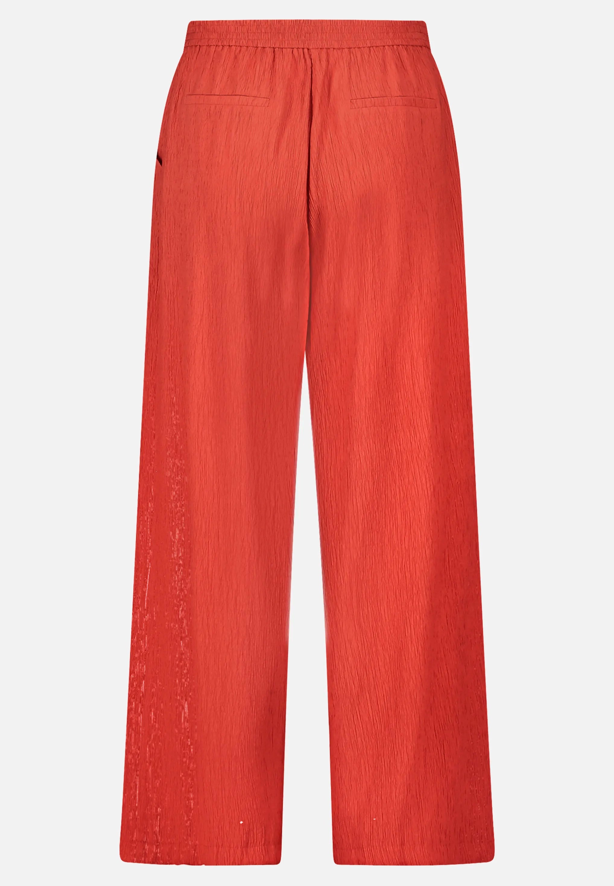 Betty Barclay Rust Red Women Textured Pull-On Trousers SKU: 6700-3338_4429 Image 04