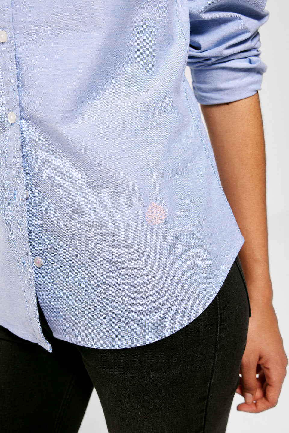 Classic Button Down Shirt_6797701_11_06