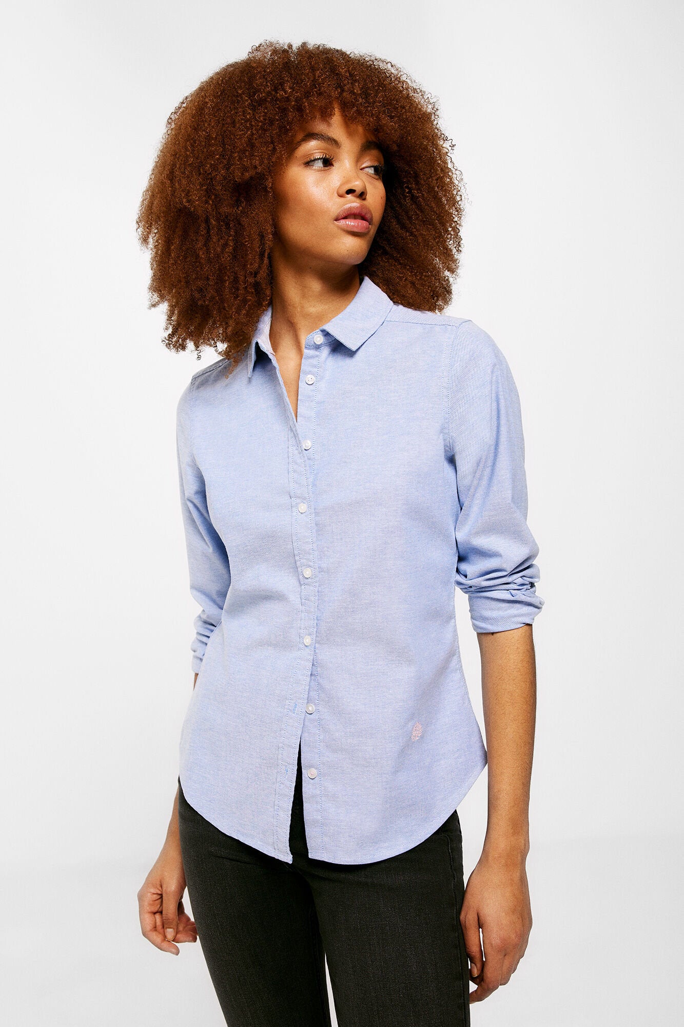 Classic Button Down Shirt_6797701_11_07