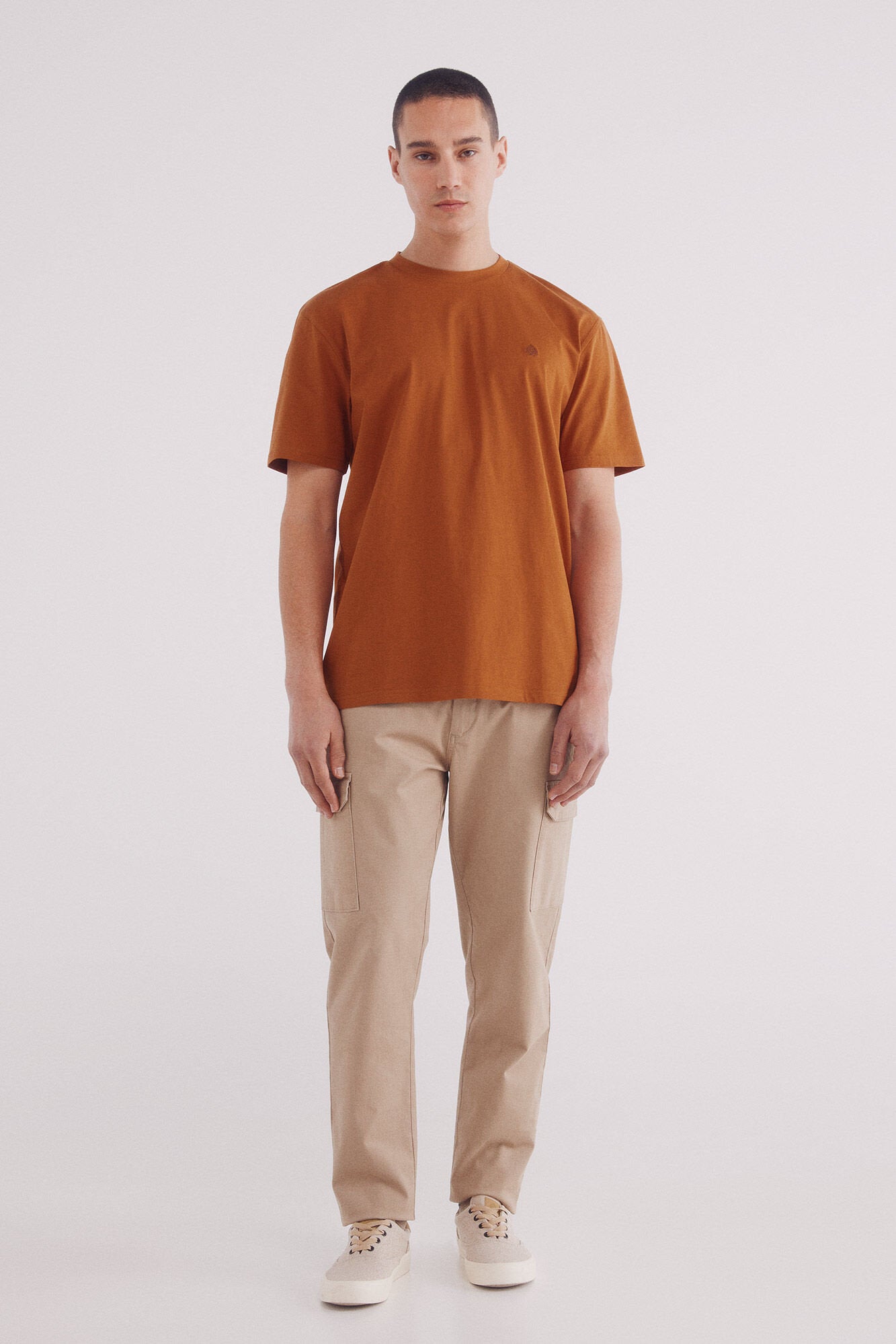 Springfield_Basic Round Neck T-Shirt_7122284_66_03