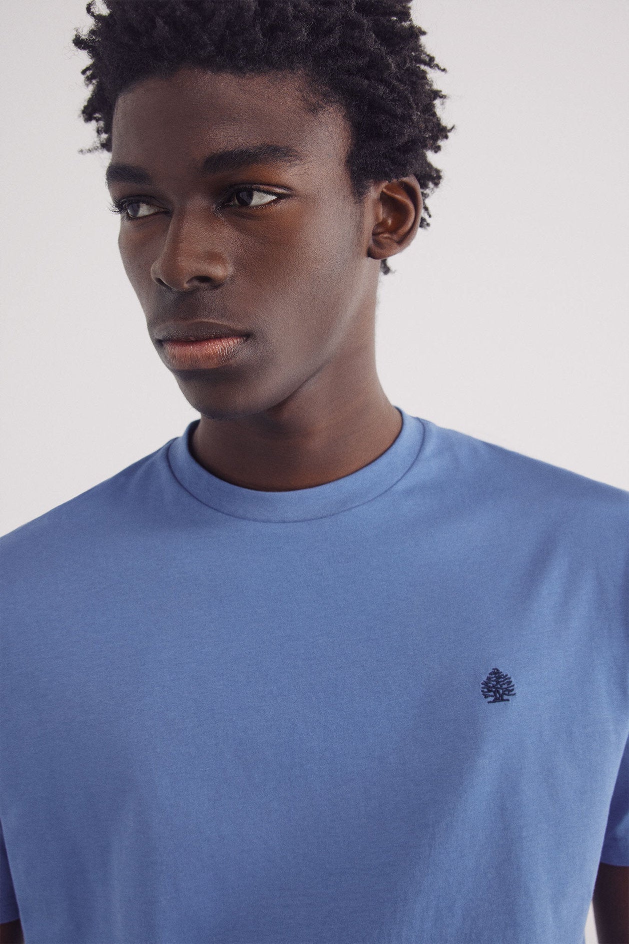 Springfield_Basic Round Neck T-Shirt_7122295_13_03