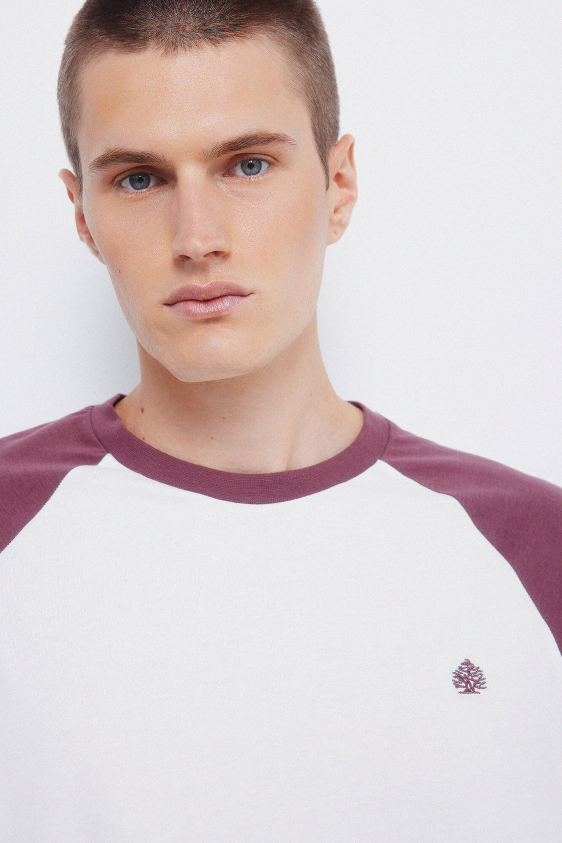 Springfield_Wine_Contrast Long Sleeve T-Shirt_8832422_68_02