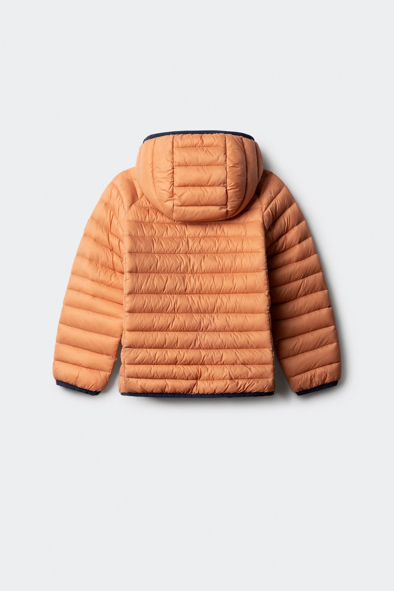 Springfield_Orange_Boy&