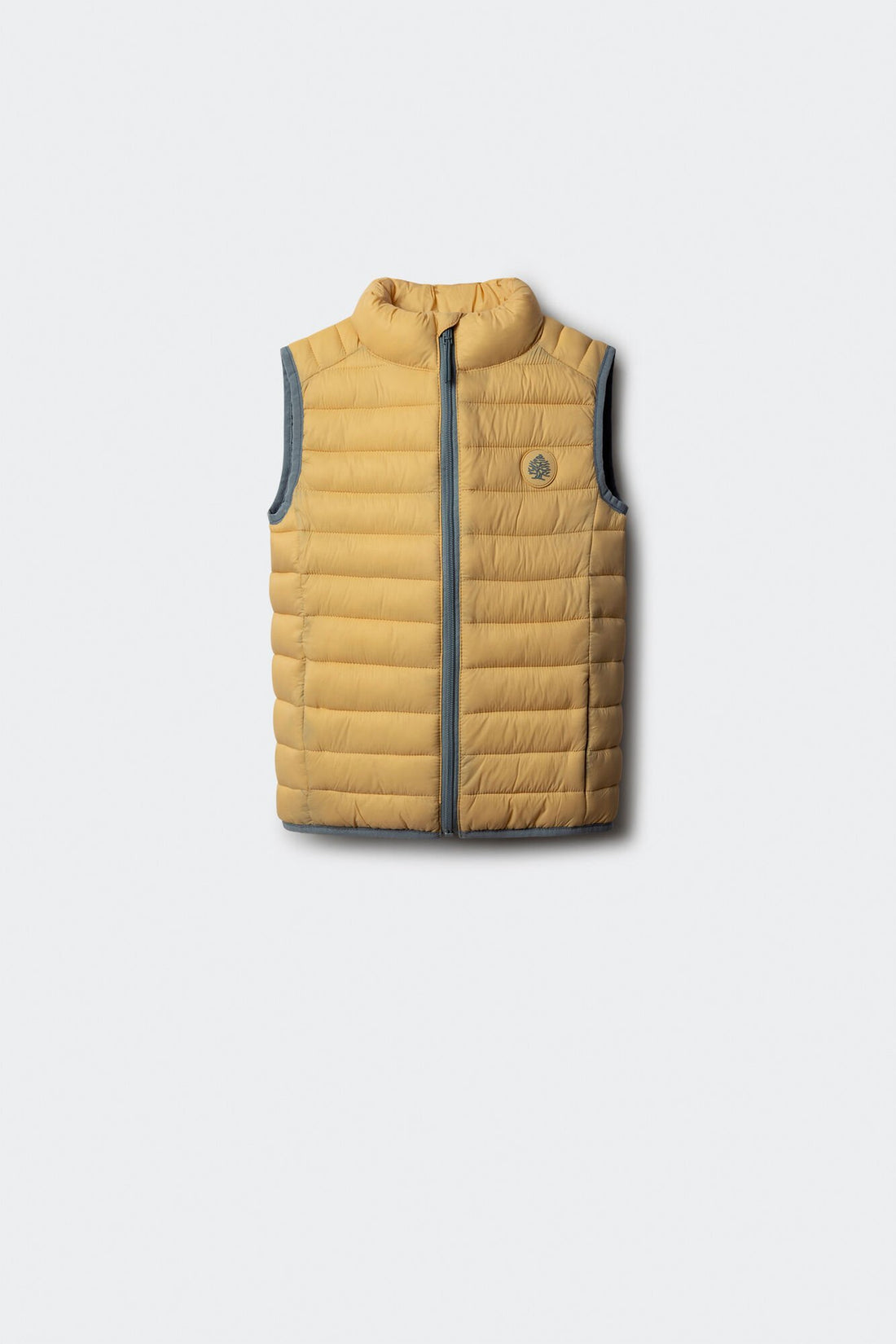 Springfield_Yellow/Gold_Boy&