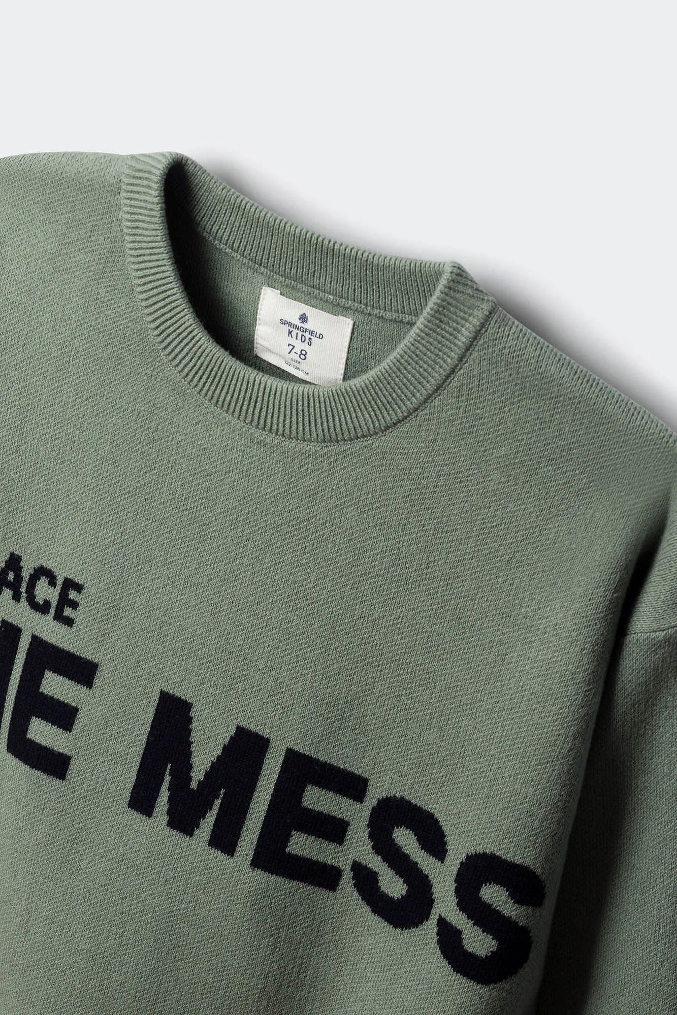 Springfield_Green_"The Mess" Children&