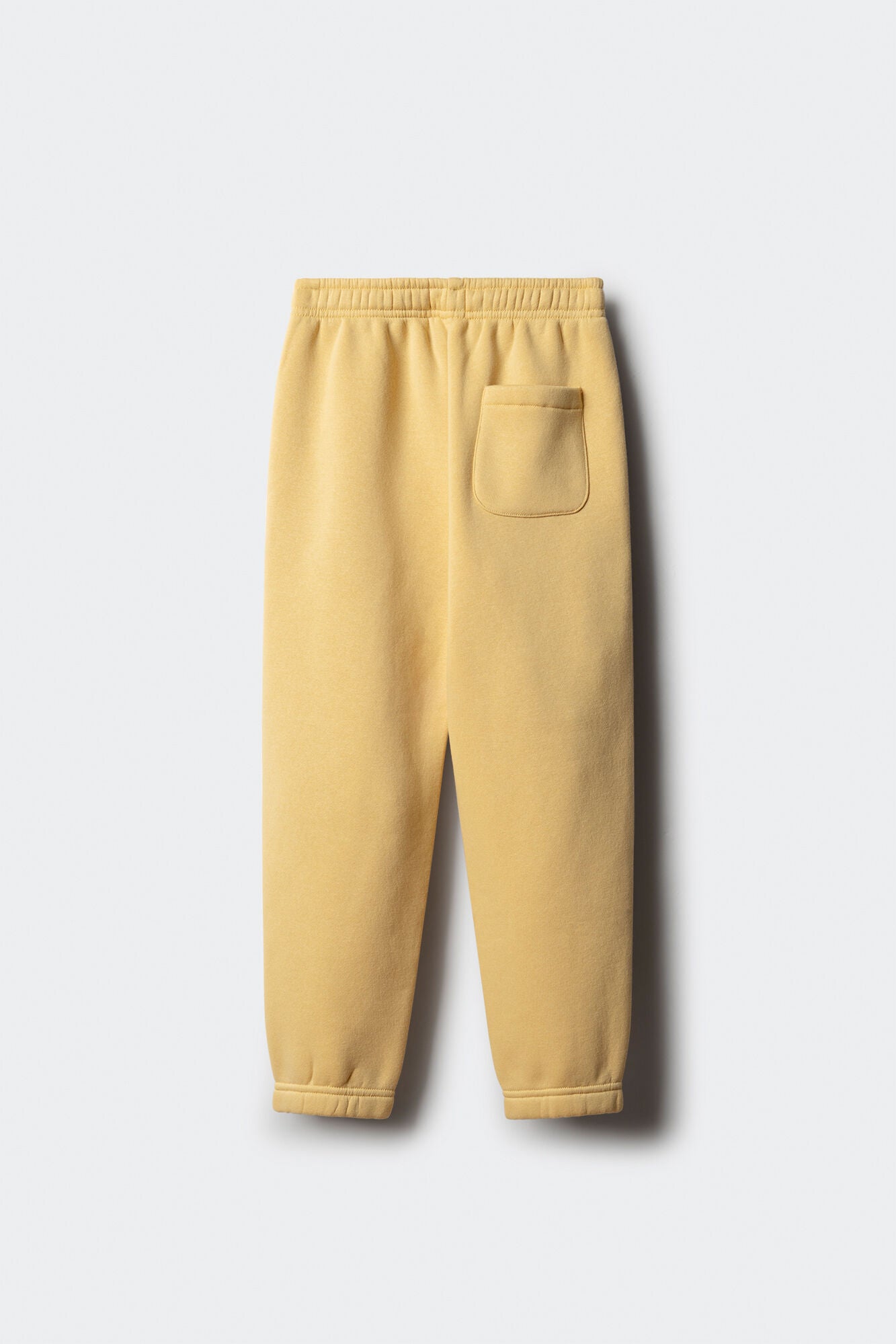 Springfield_Yellow_Boy&