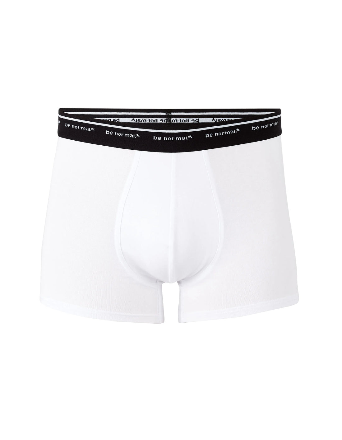 Celio_White_Stretch Cotton Boxer Shorts with Contrasting Waistband_BINORMAL1_WHITE_01