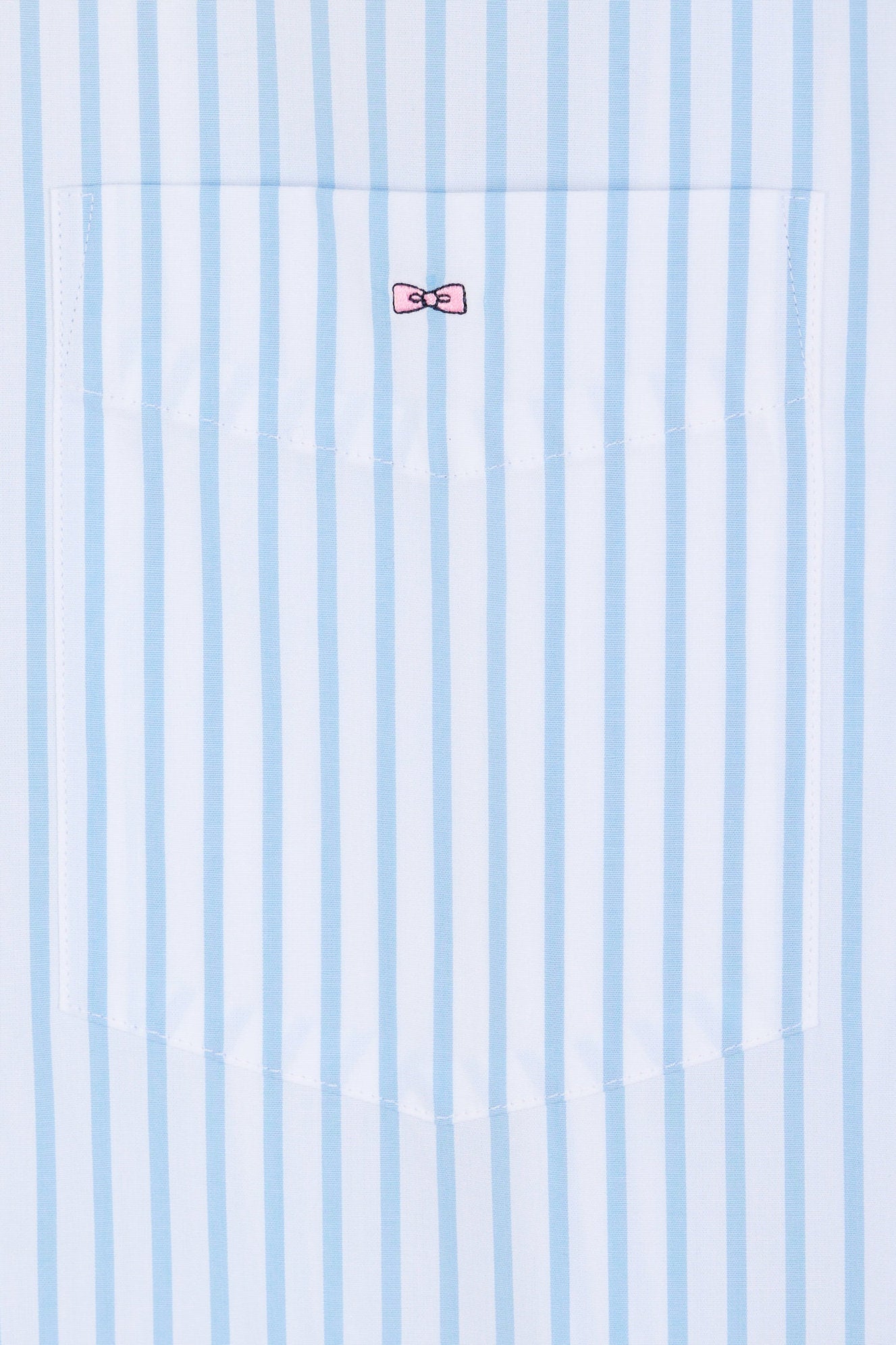 Eden Park_Straight-Fit Sky Blue Cotton Shirt_E25CHECL0007_BLM_05