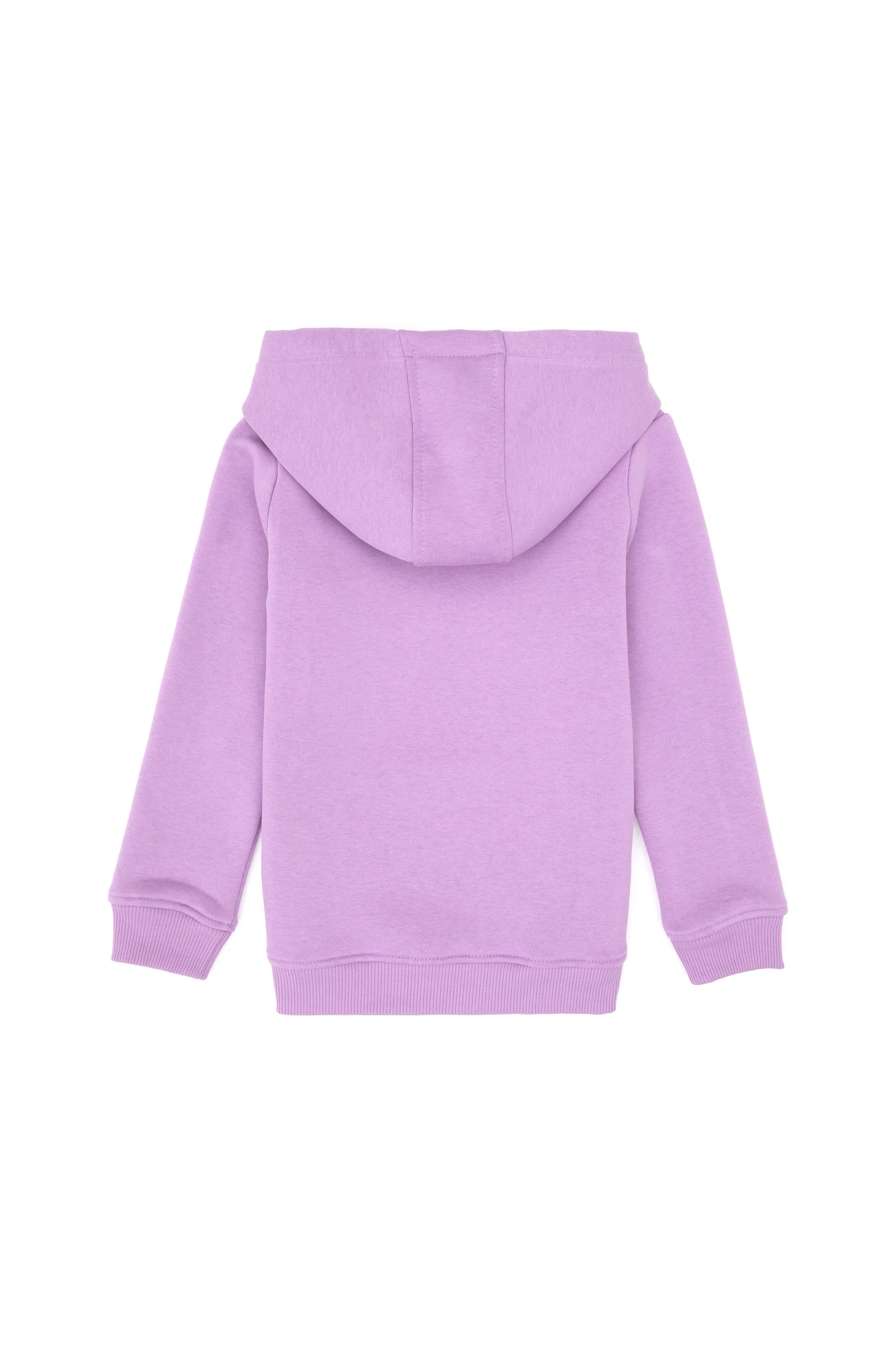 U.S. Polo Assn._Lilac_Lilac Sweat Shirt_G084SZ0820 PU-7878_VR034_02