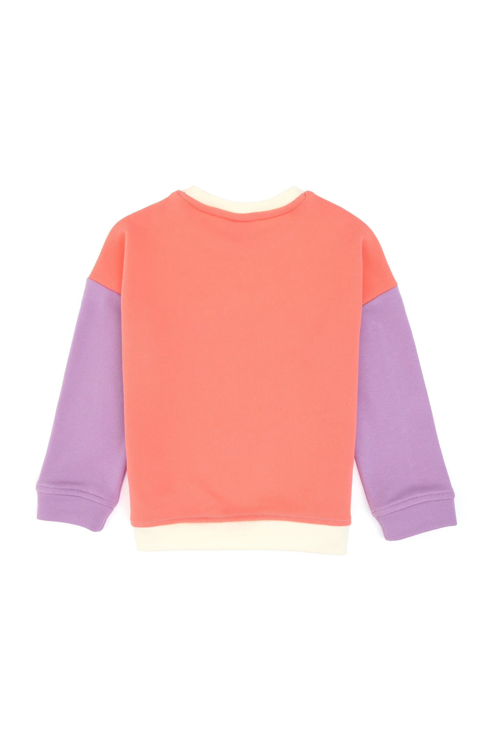 U.S. Polo Assn._Pearl_Pearl Sweat Shirt_G084SZ0820 PU-8011_VR256_03