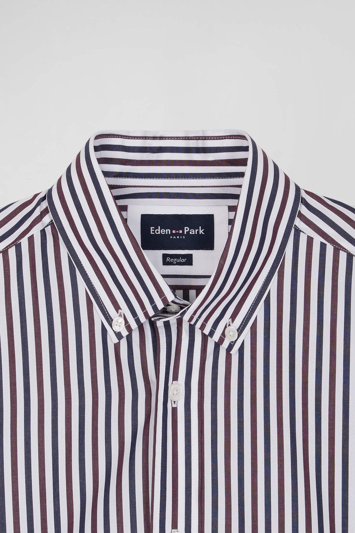 Burgundy Striped Cotton Poplin Shirt Regular Fit_H24CHECL0021_BXF3_06