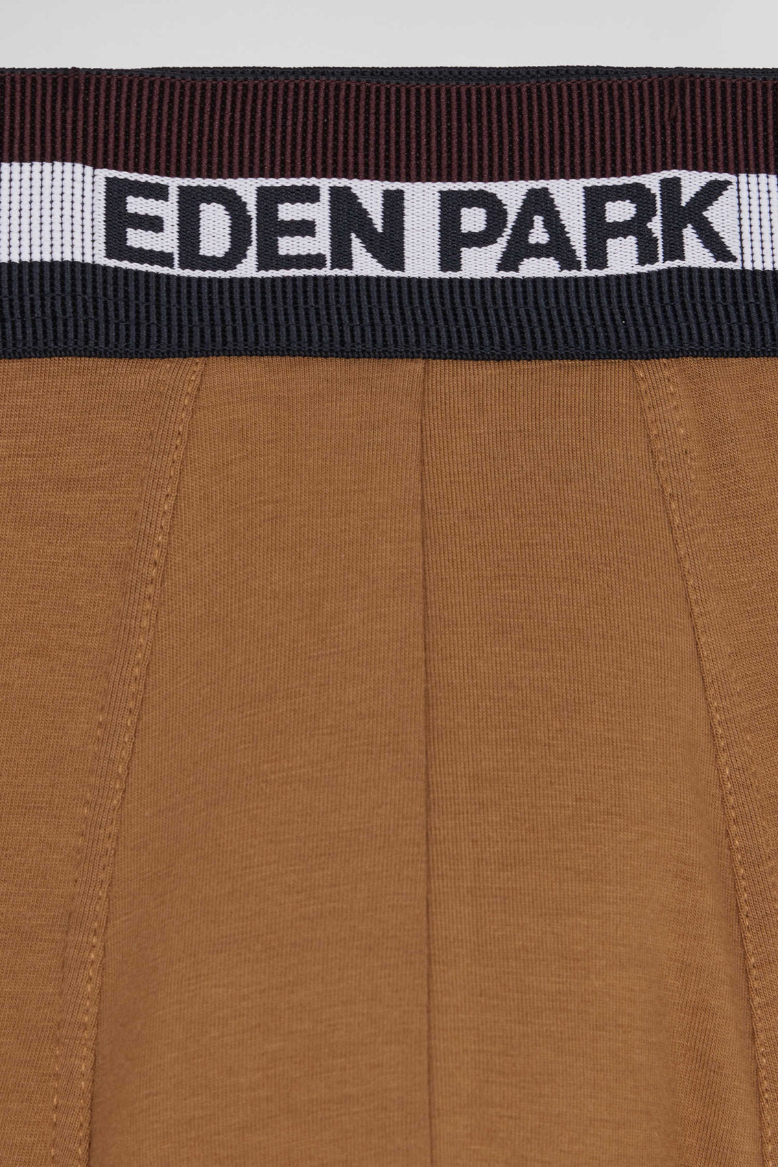 Set Of 2 Camel Stretch Cotton Boxers With Tricolor Waistband_04