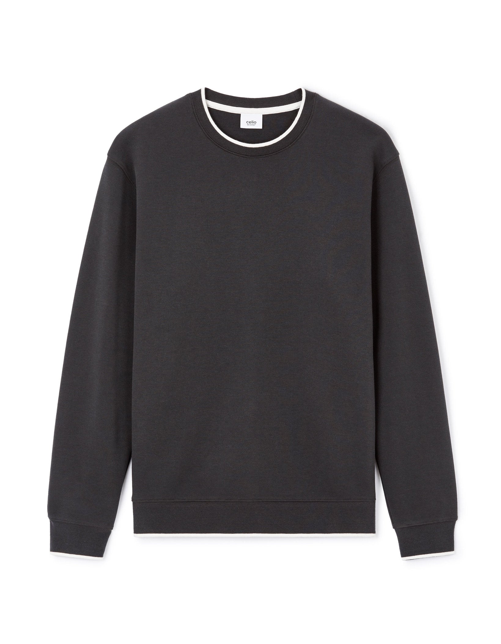 Celio_Anthracite Regular Round Neck Cotton Blend Sweatshirt_LEDOUPIKE_ANTHRACITE_04
