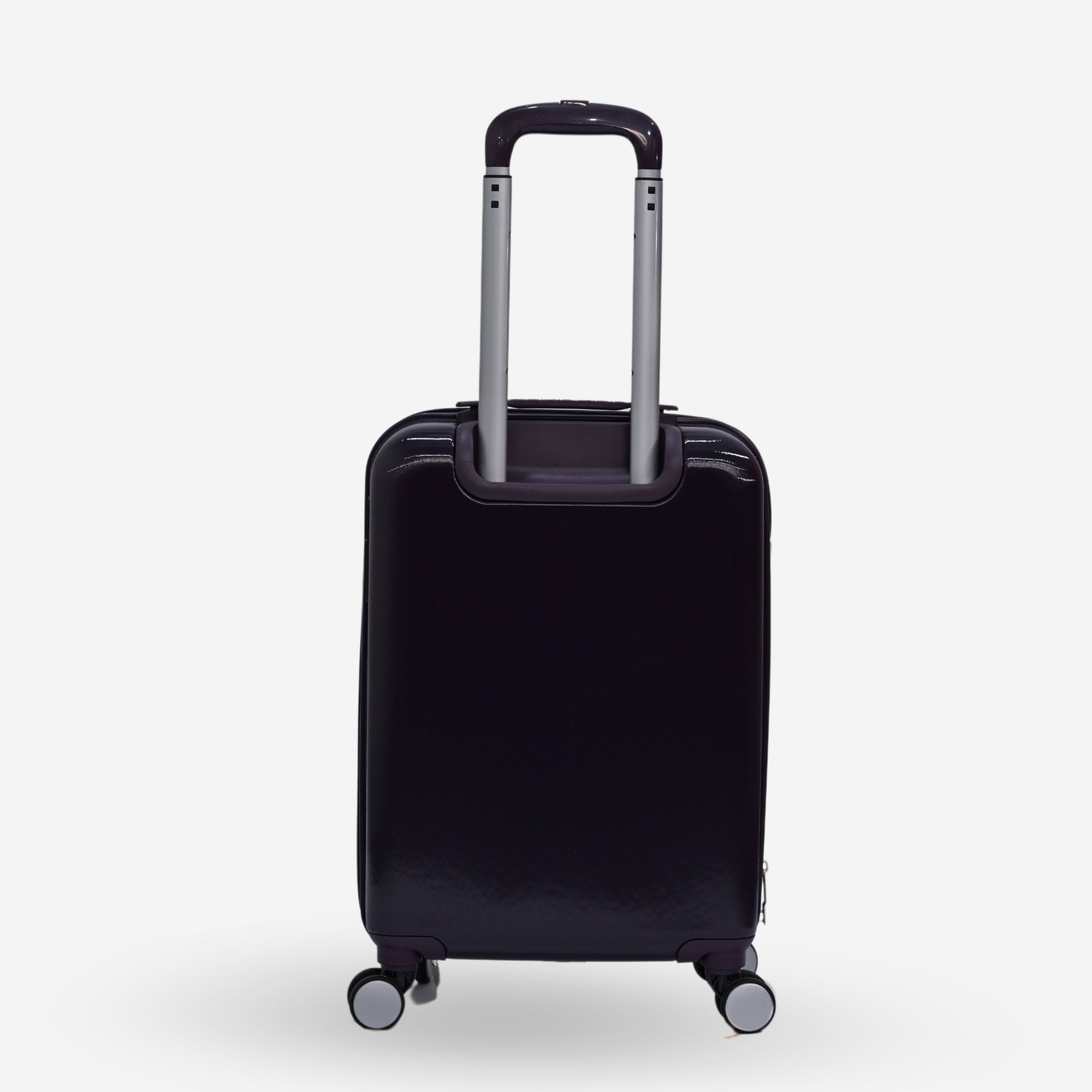 Calvin Klein Plum Cabin Luggage_LH118HG4_PLM_03